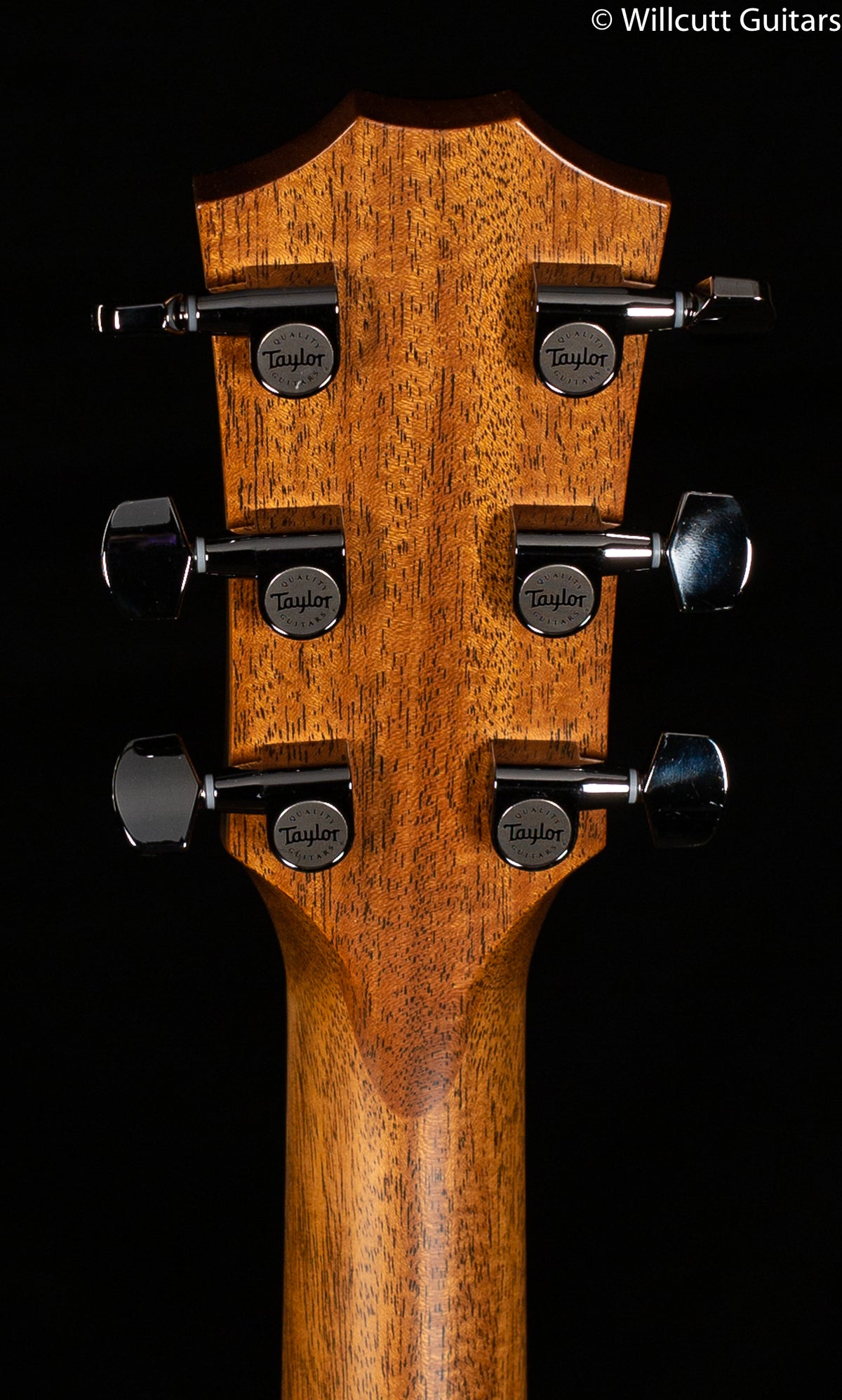 Taylor 714ce LTD,Sassafras/Lutz