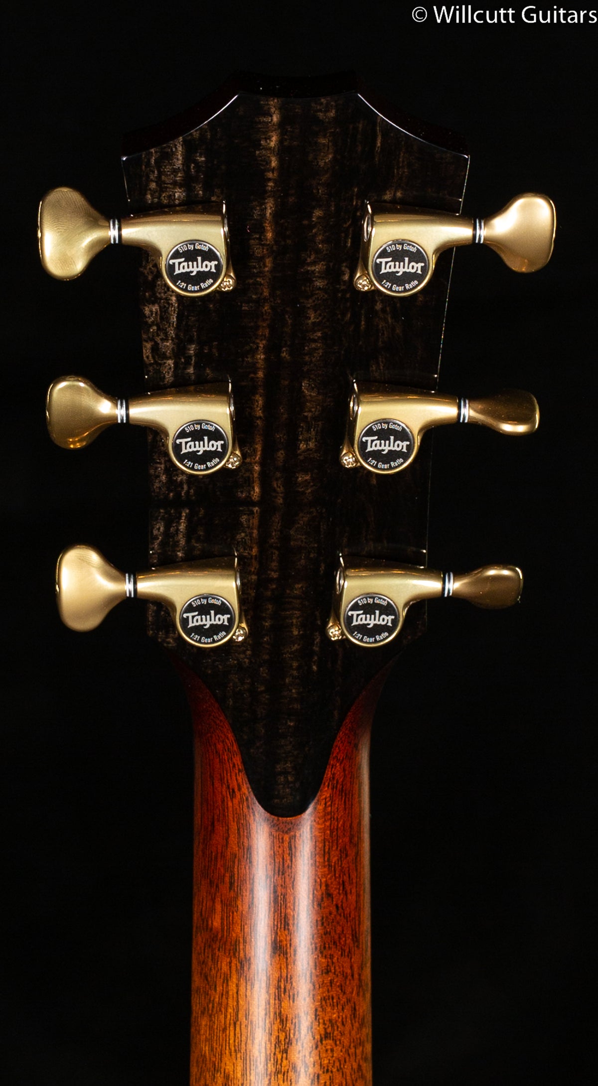 Taylor 914ce LTD Koa(AA)/Redwood (166)