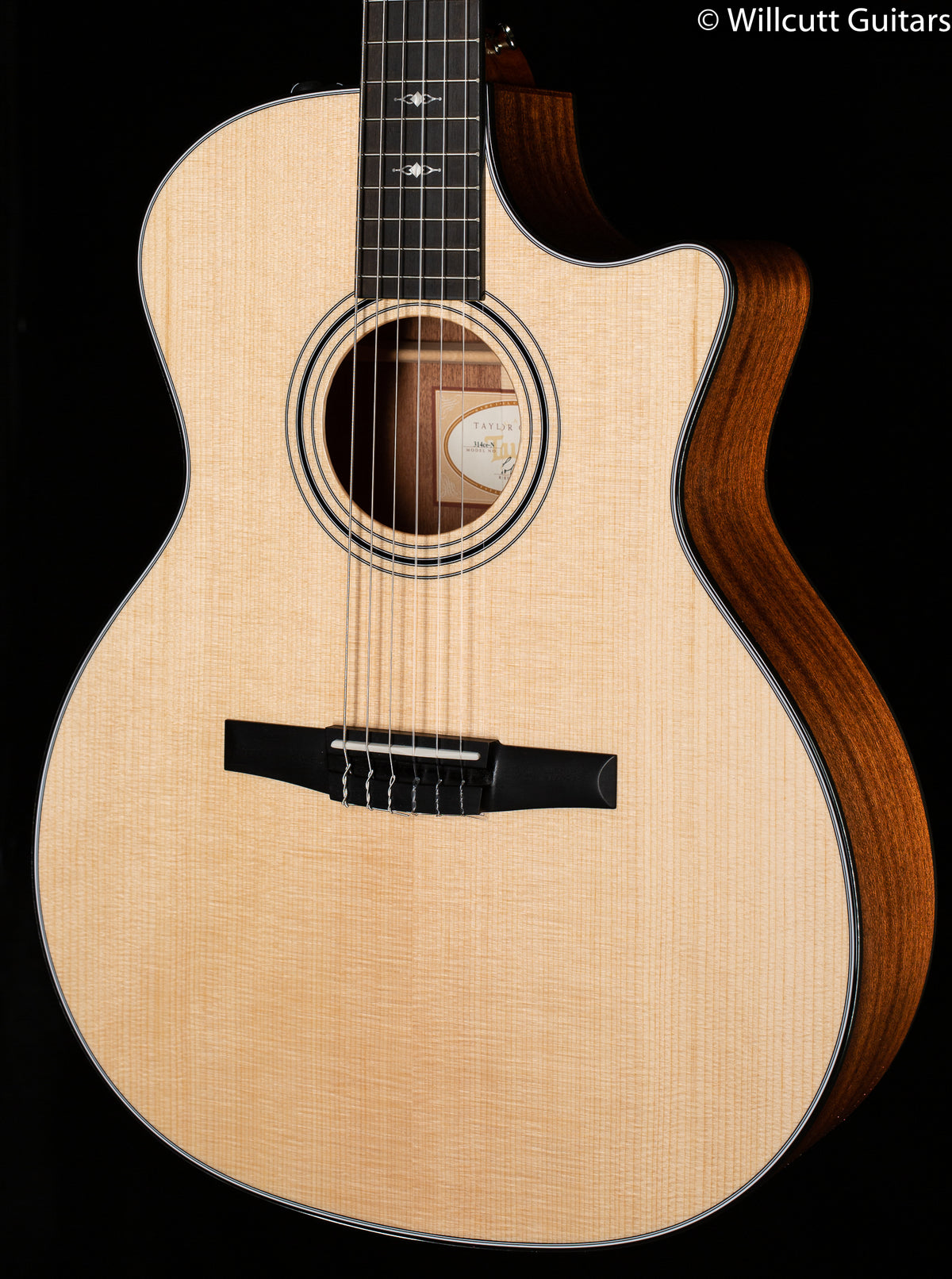 Taylor 314ce-N Nylon String