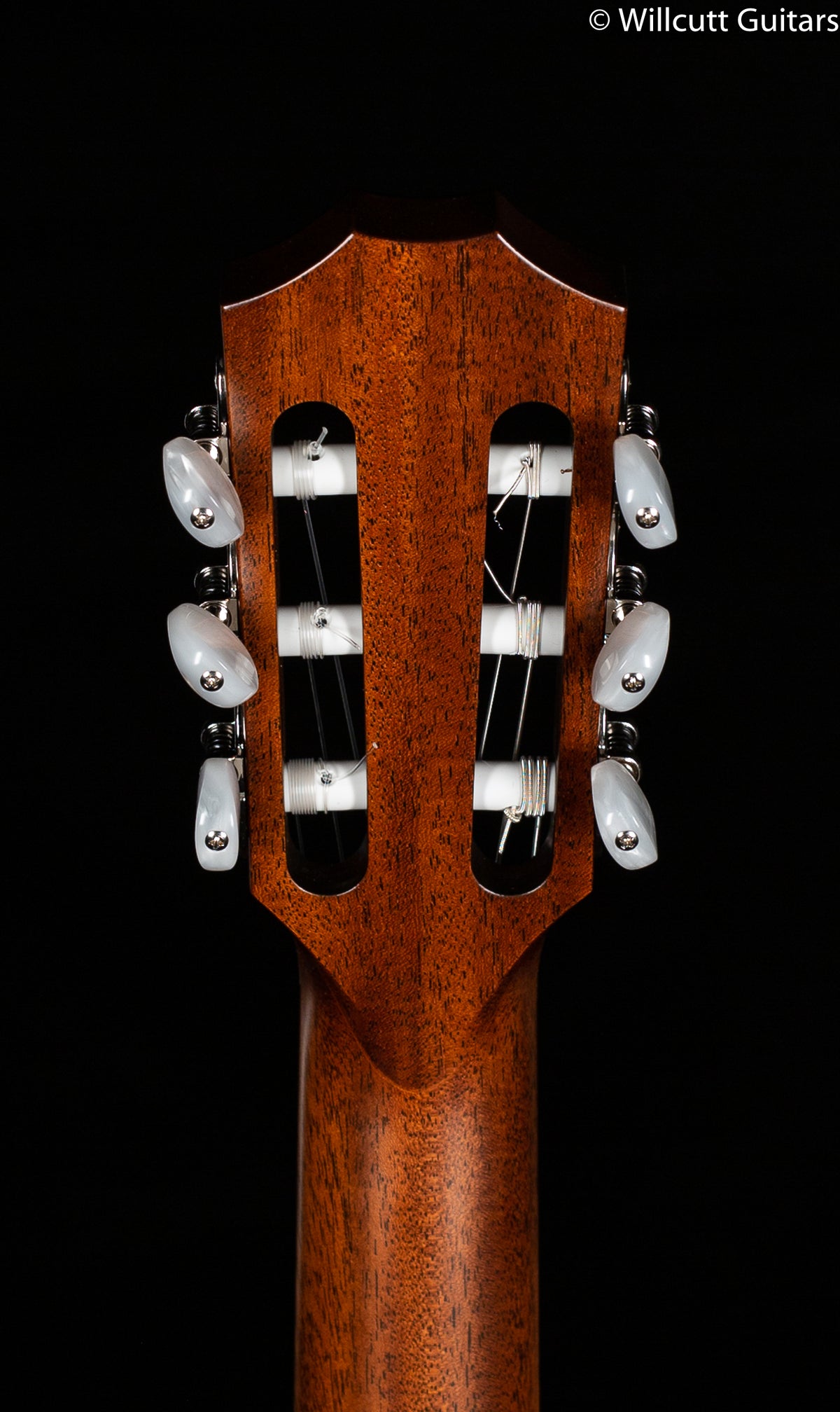 Taylor 314ce-N Nylon String