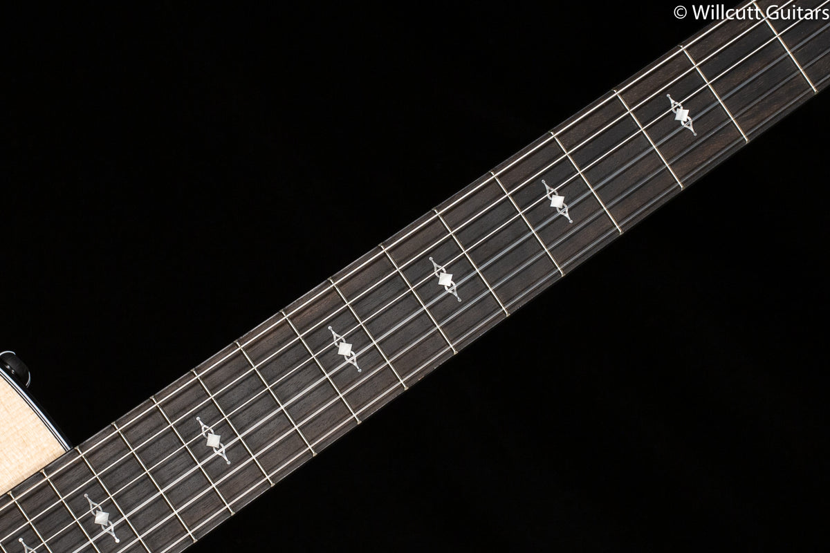 Taylor 314ce-N Nylon String