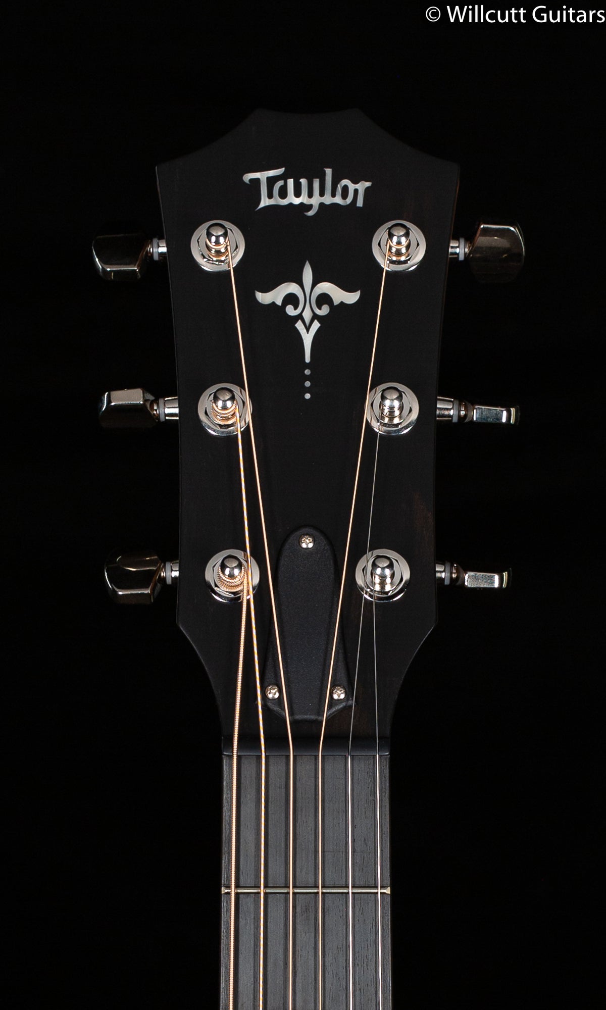 Taylor E14ce V-Class