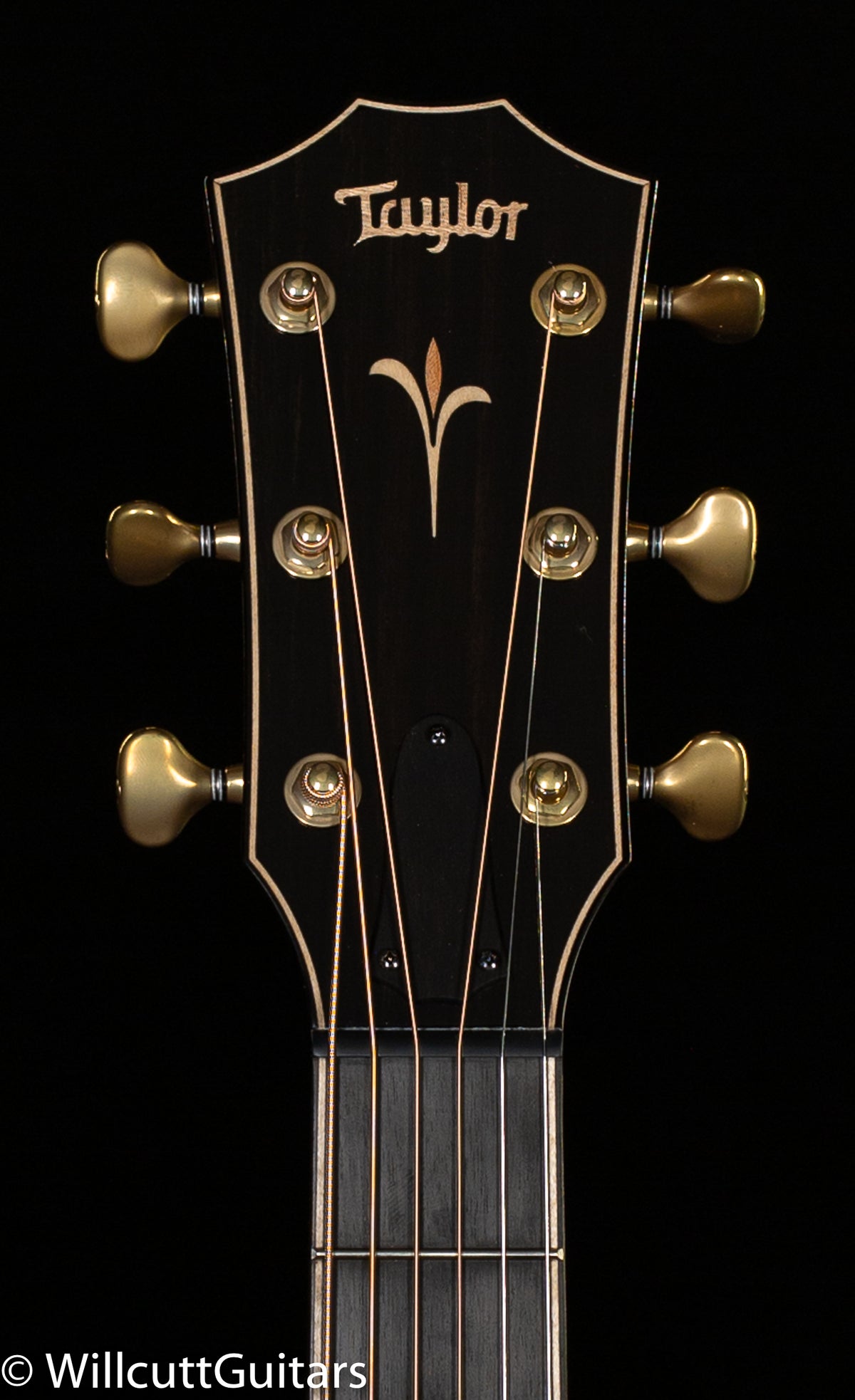 Taylor K22ce V-Class Bracing (073)