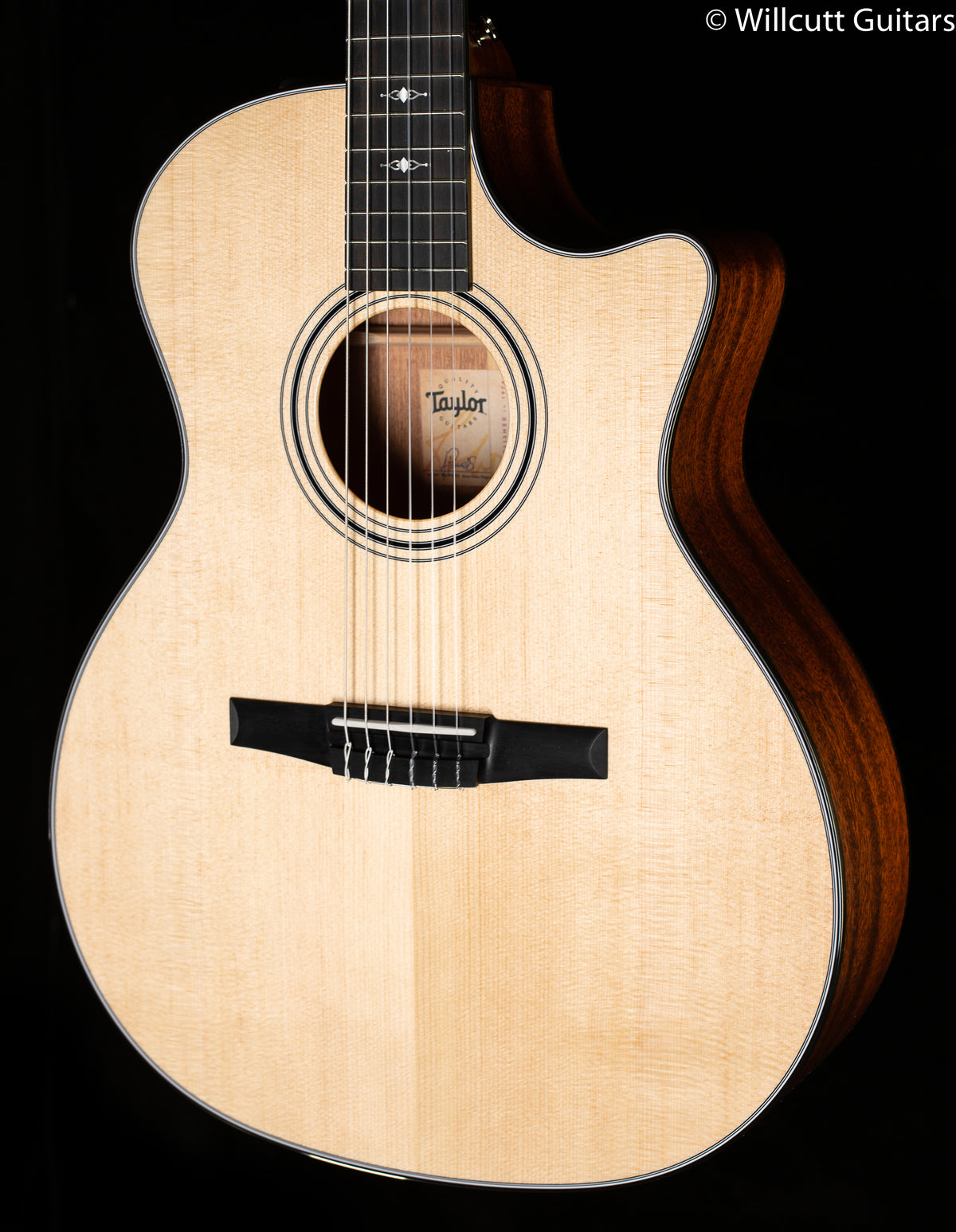 Taylor 314ce-N Nylon Grand Auditorium (118)