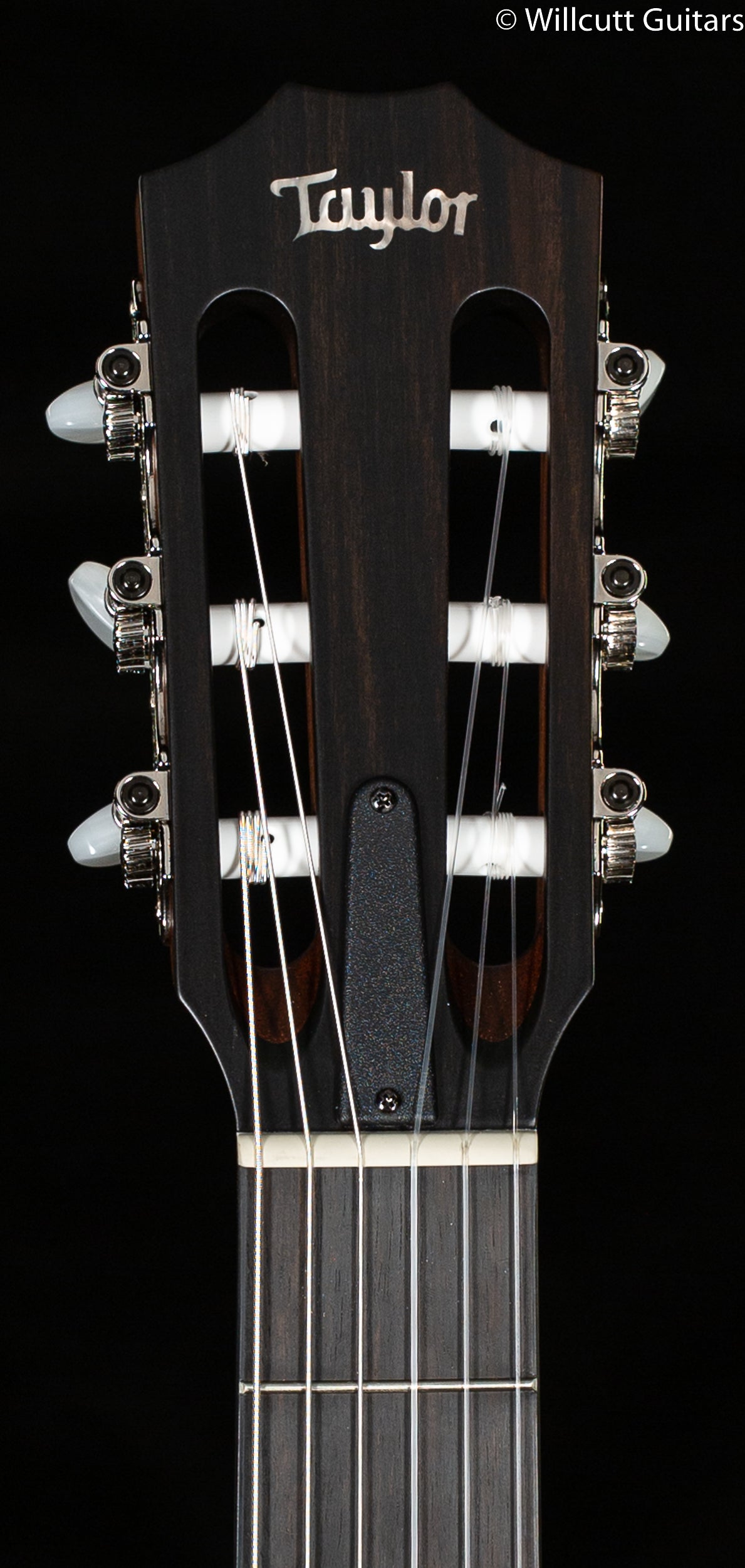 Taylor 314ce-N Nylon Grand Auditorium (118)