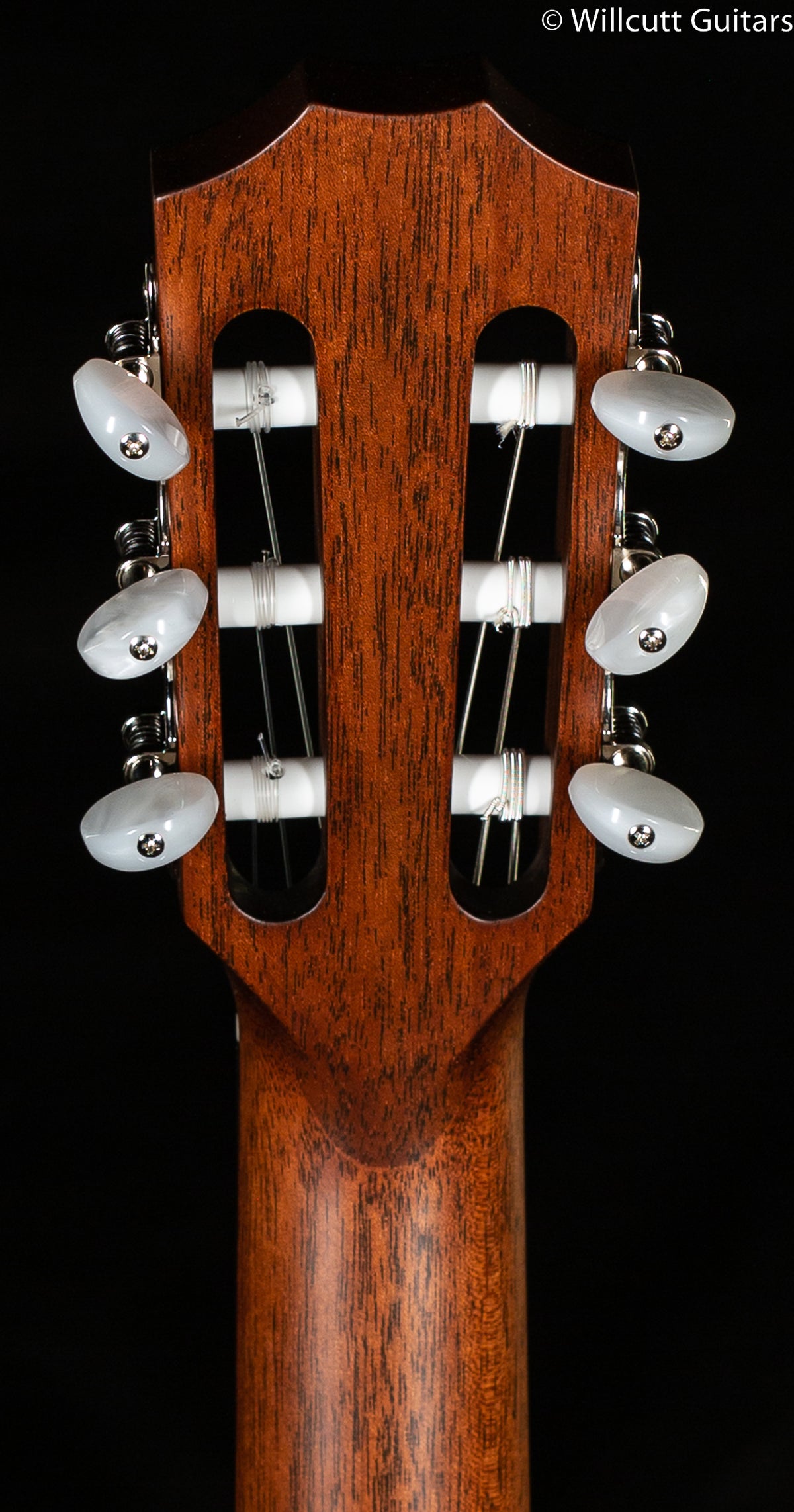 Taylor 314ce-N Nylon Grand Auditorium (118)
