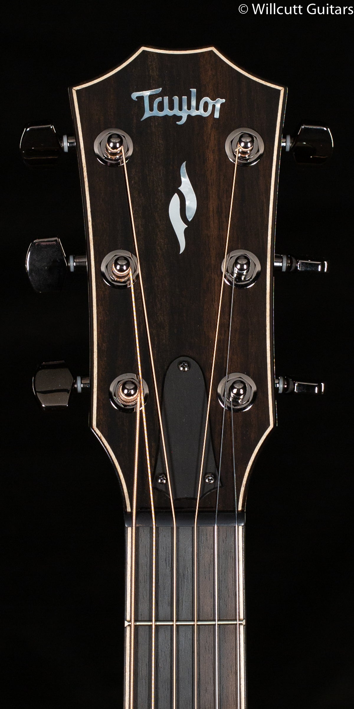 Taylor 814ce Grand Auditorium Tobacco Sunburst (064)