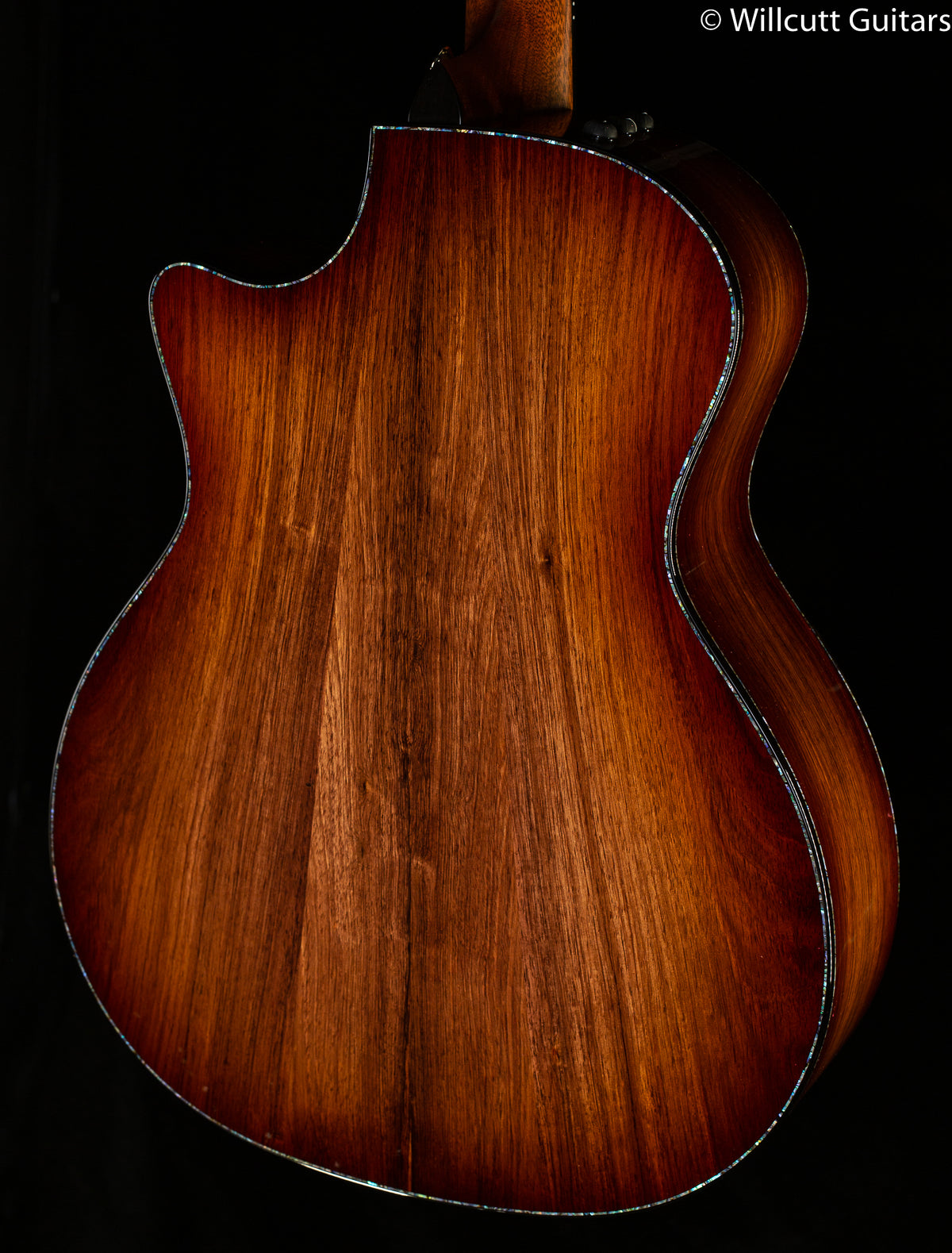 Taylor PS14ce Grand Auditorium Honduran Rosewood/Sinker Redwood (070)