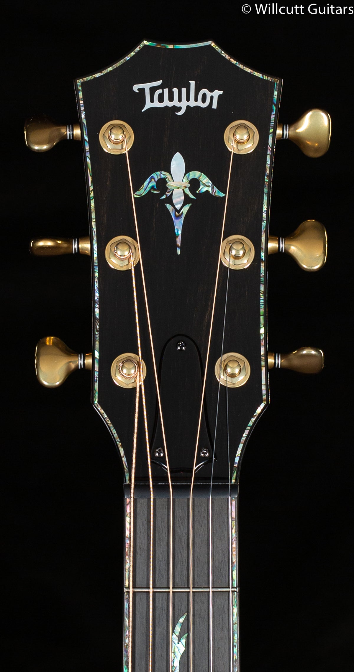 Taylor PS14ce Grand Auditorium Honduran Rosewood/Sinker Redwood (070)