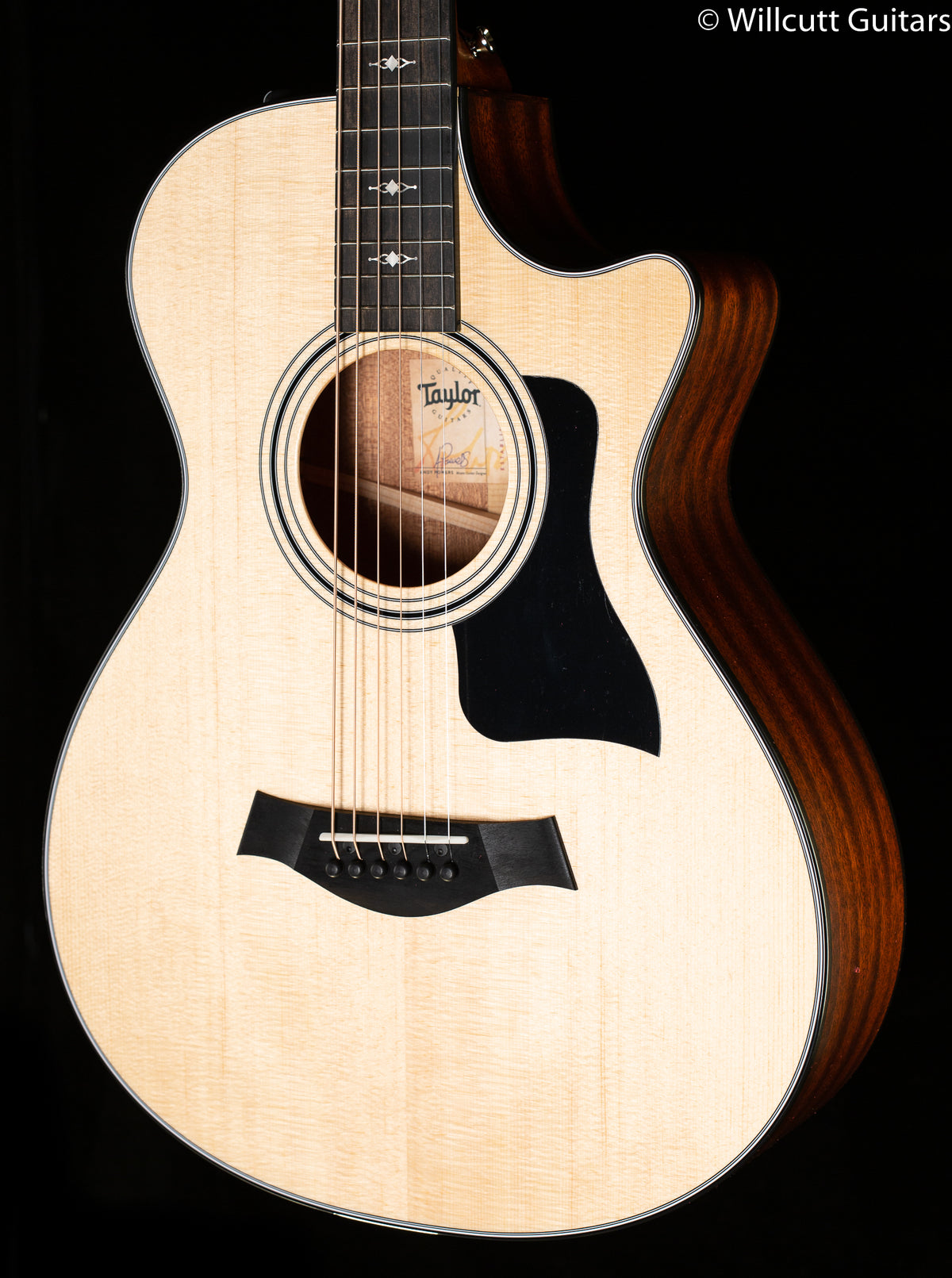 Taylor 312ce 12-Fret Grand Concert (039)