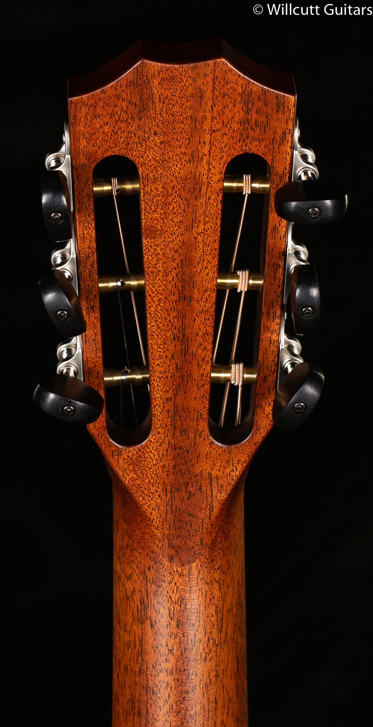 Taylor 312ce 12-Fret Grand Concert (039)