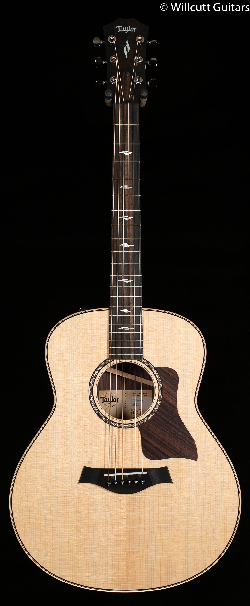 Taylor GT 811e