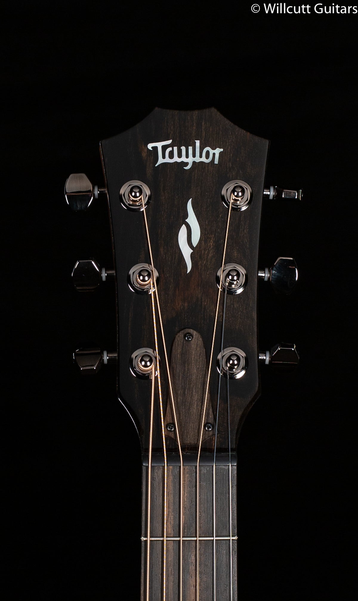 Taylor GT 811e