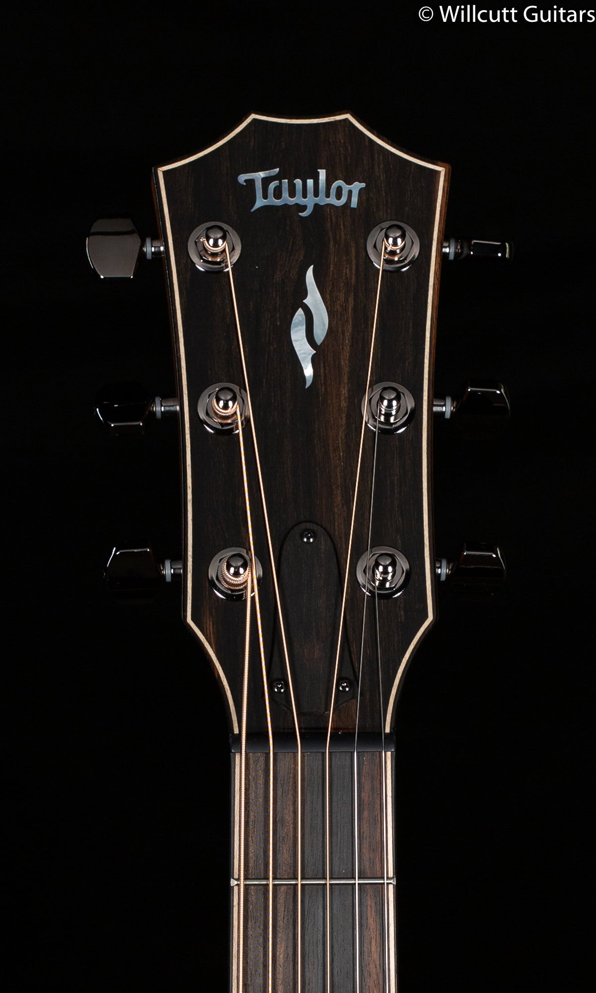 2020 Taylor 812c Radius Armrest TSB Top