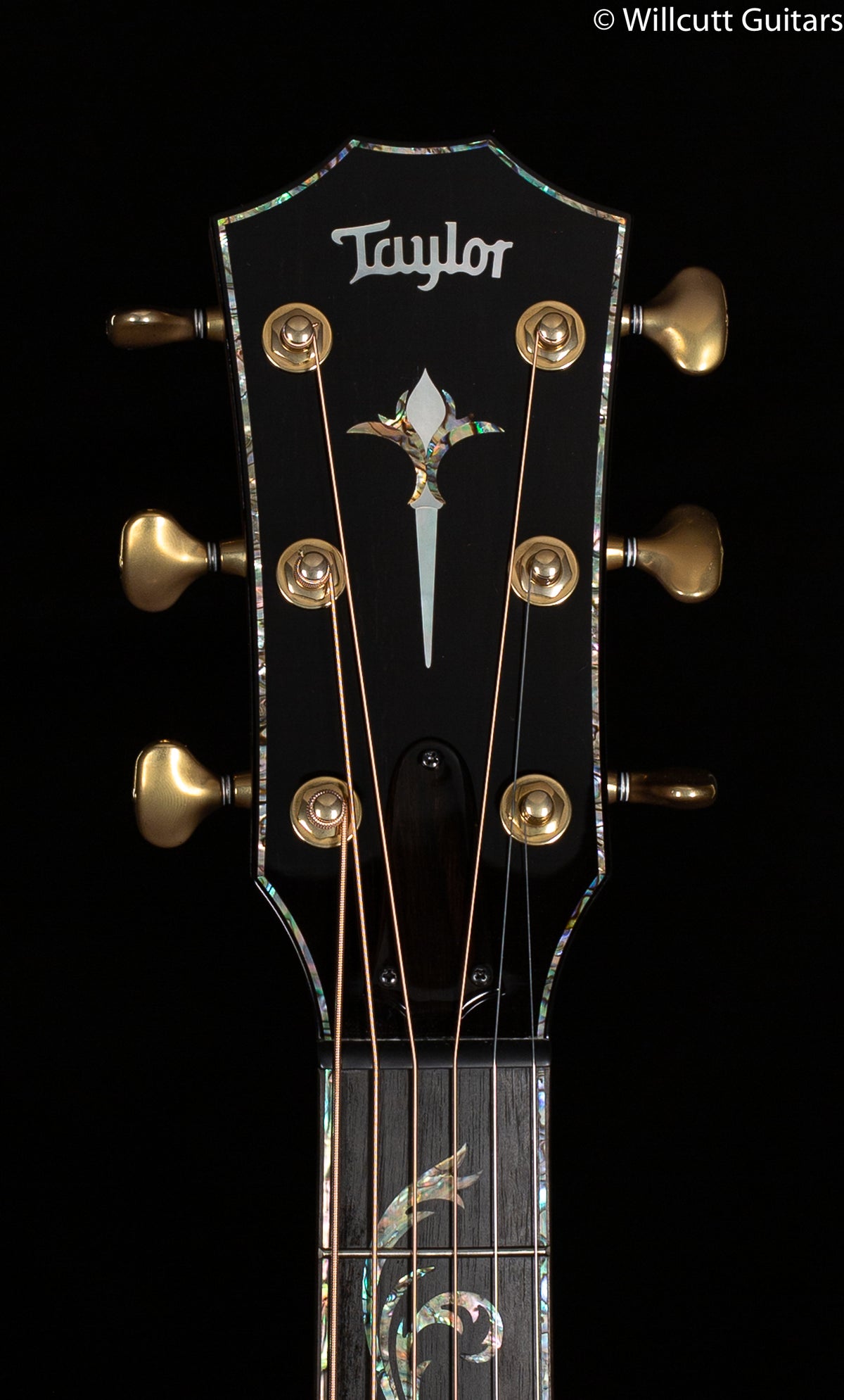 Taylor PS14ce LTD