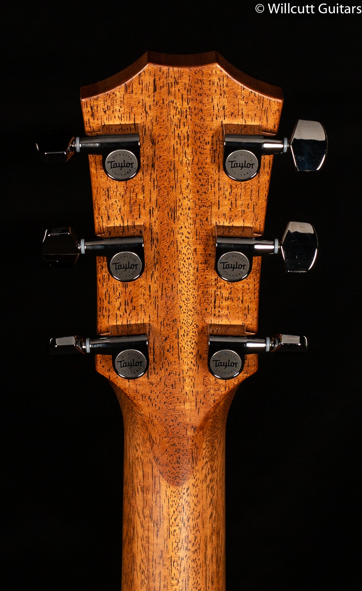 Taylor 812ce V-Class Bracing