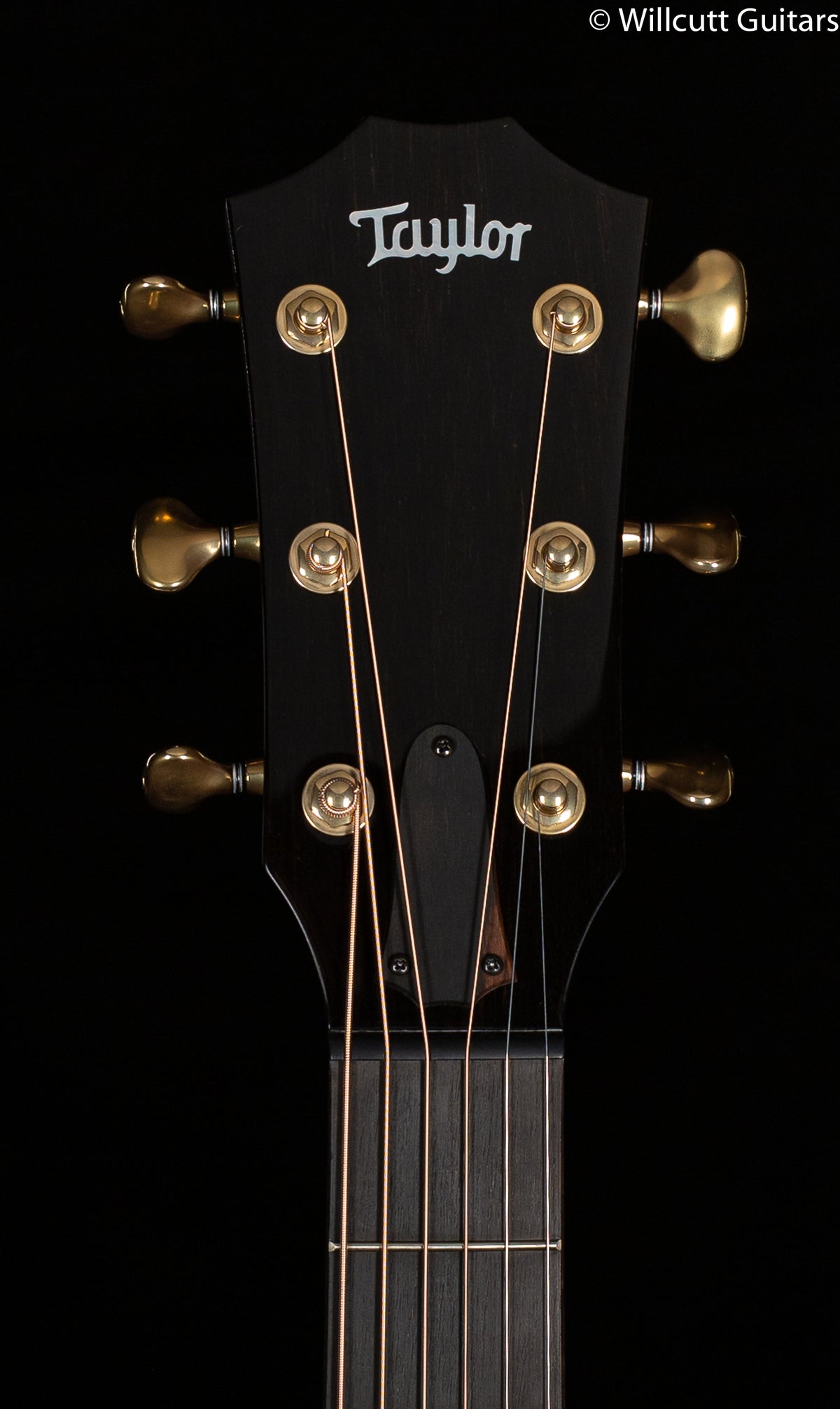 Taylor Custom GA Quilted Sapele Engelmann Bearclaw