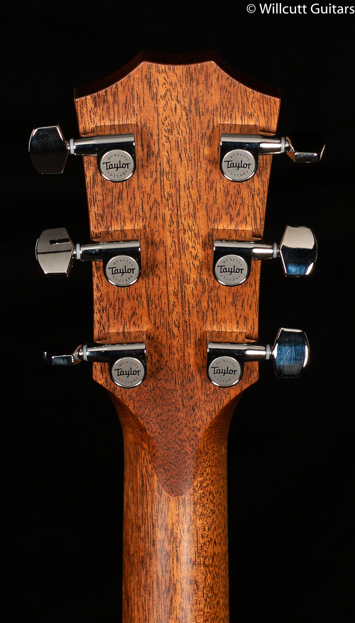 Taylor 314ce Sunburst Top V-Class Bracing