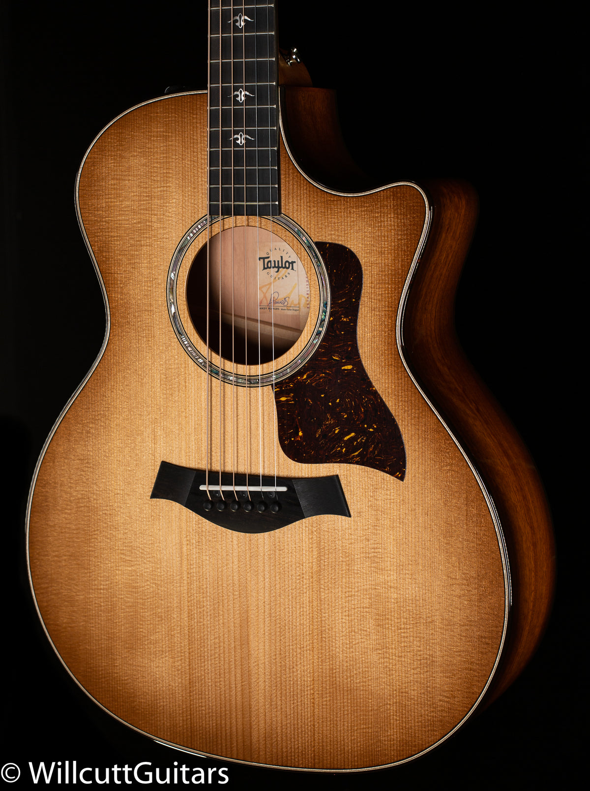 Taylor 514ce Urban Ironbark/Torrefied Sitka (002)