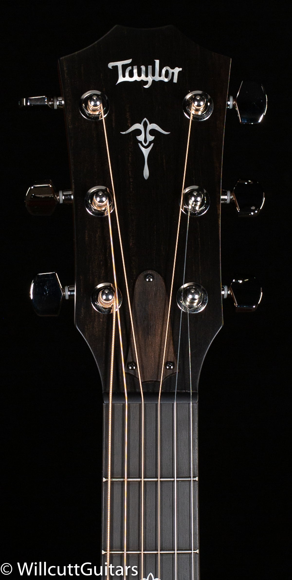 Taylor 514ce Urban Ironbark/Torrefied Sitka (002)