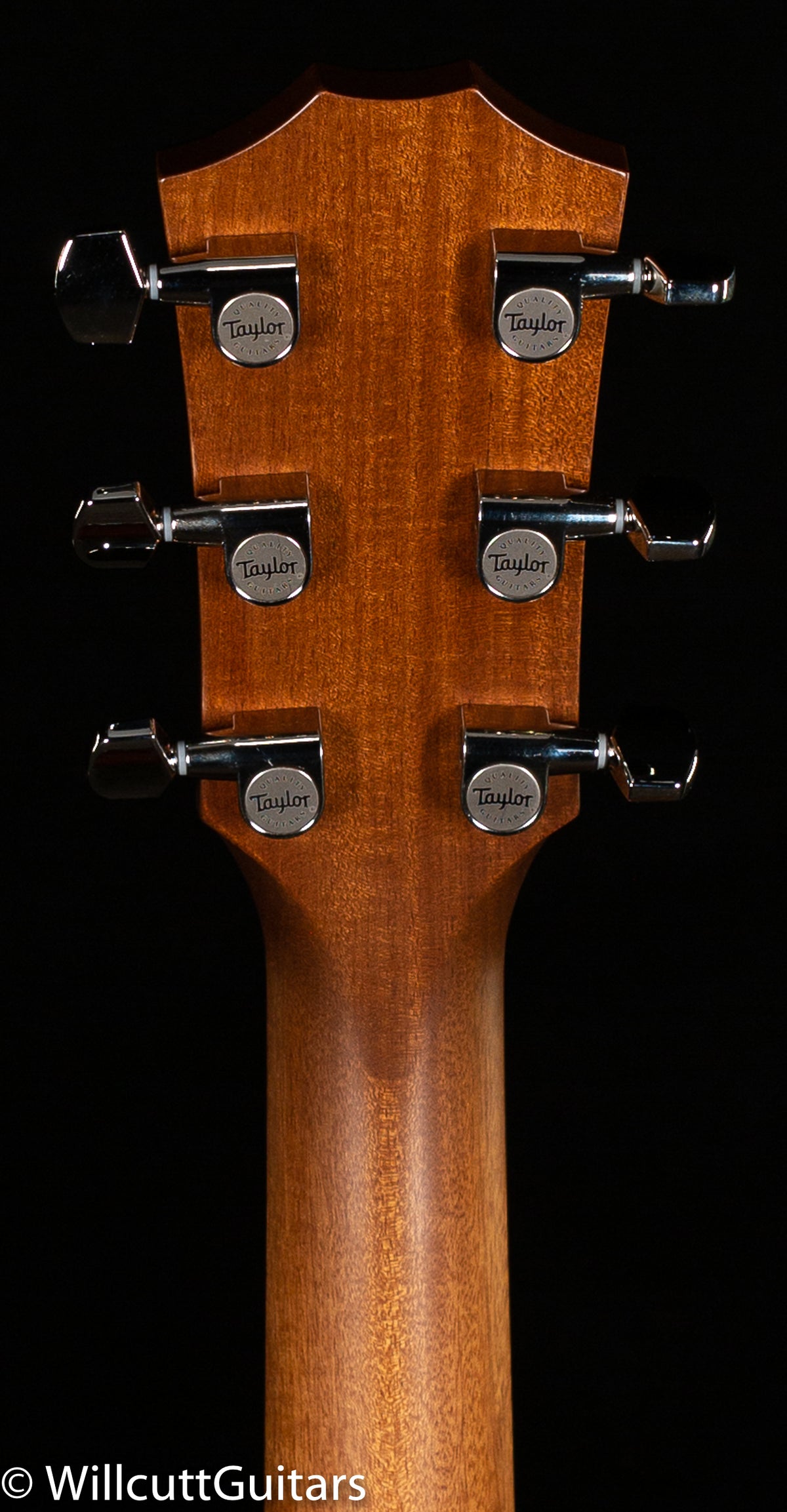 Taylor 514ce Urban Ironbark/Torrefied Sitka (002)