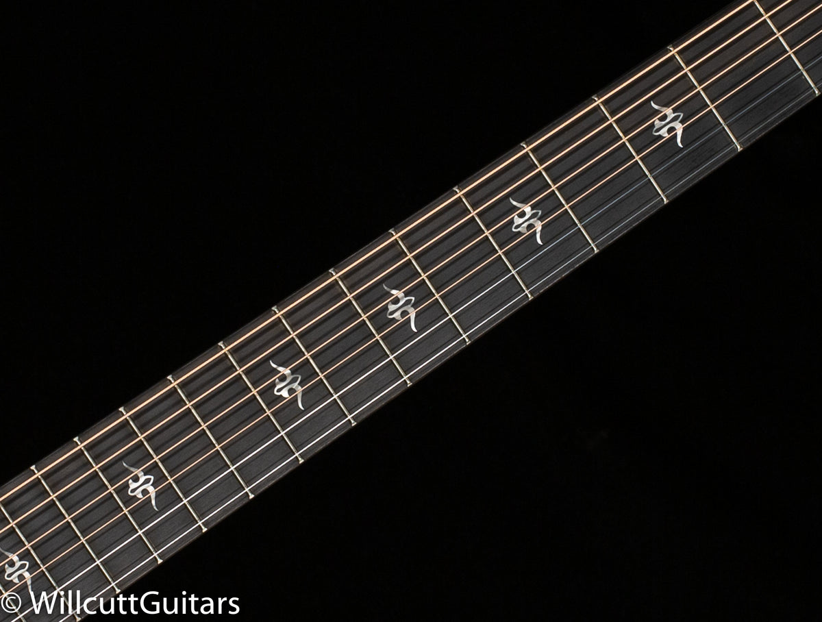 Taylor 514ce Urban Ironbark/Torrefied Sitka (002)