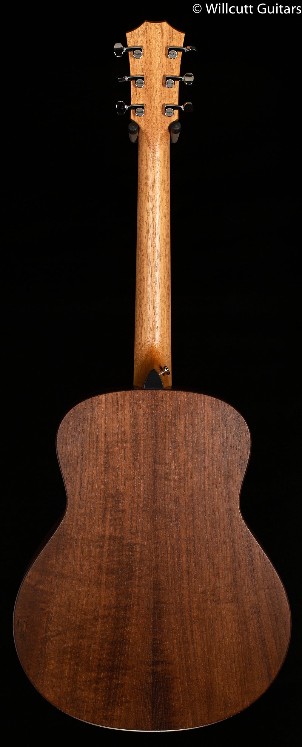 Taylor GT Urban Ash Spruce Lefty