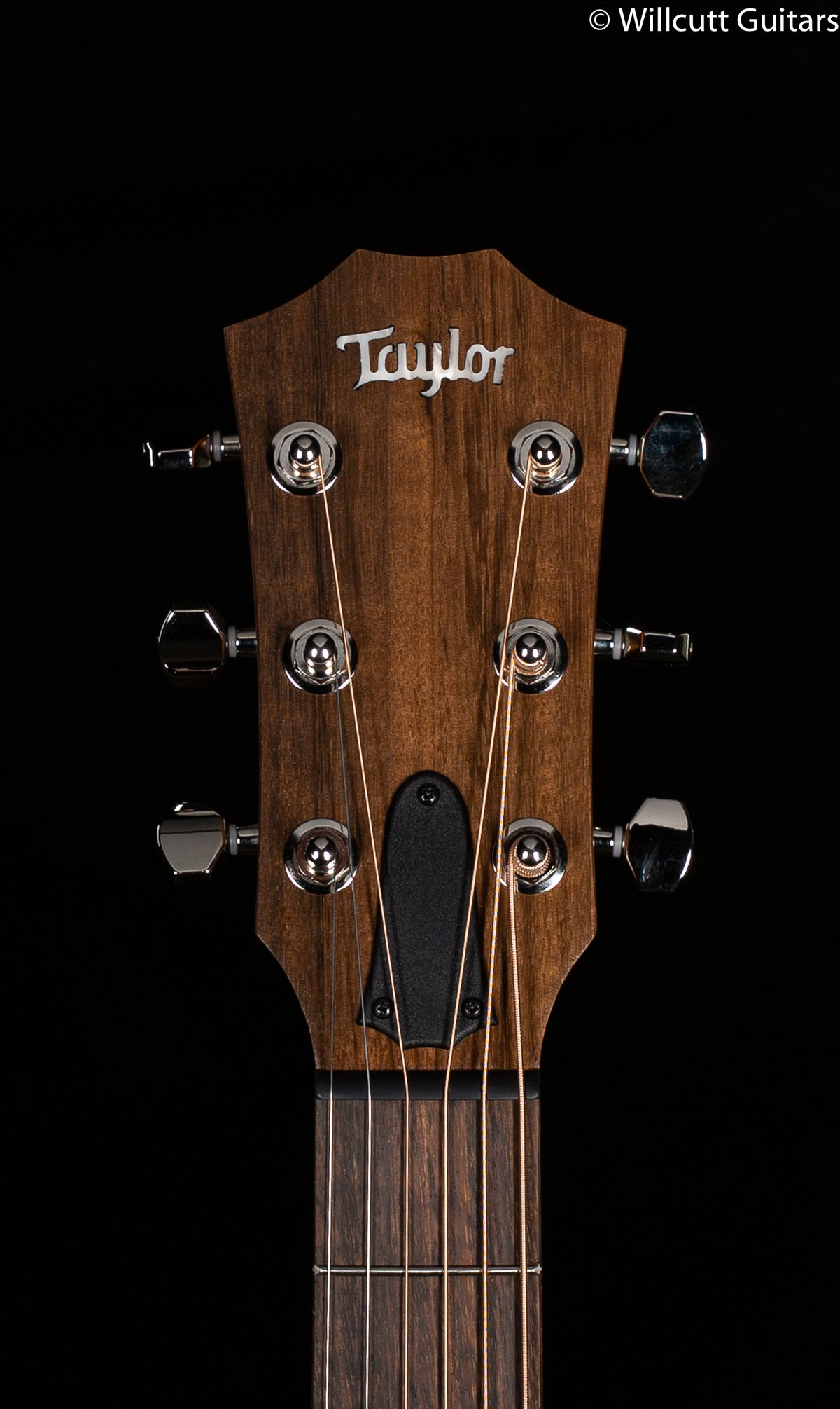 Taylor GT Urban Ash Spruce Lefty