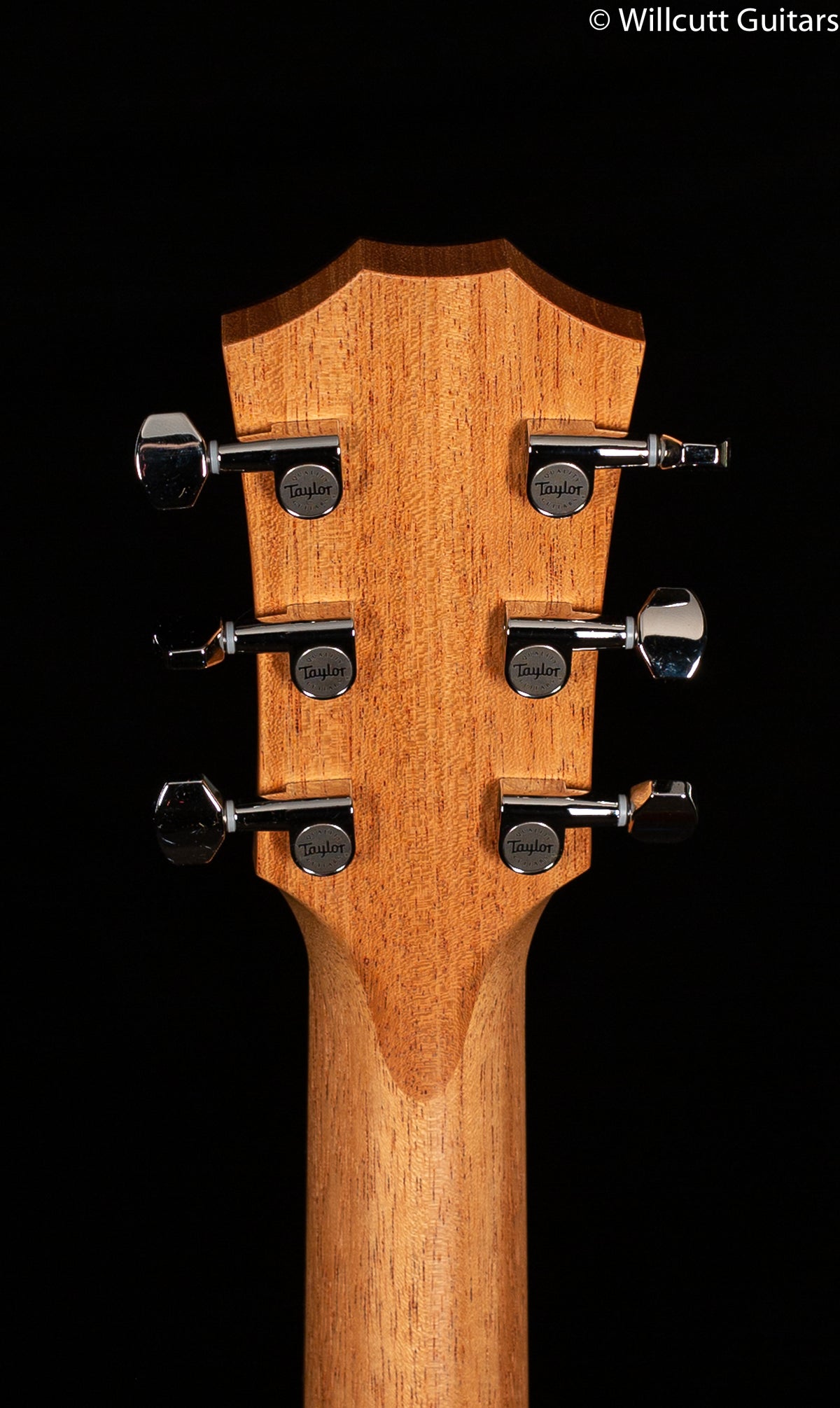 Taylor GT Urban Ash Spruce Lefty