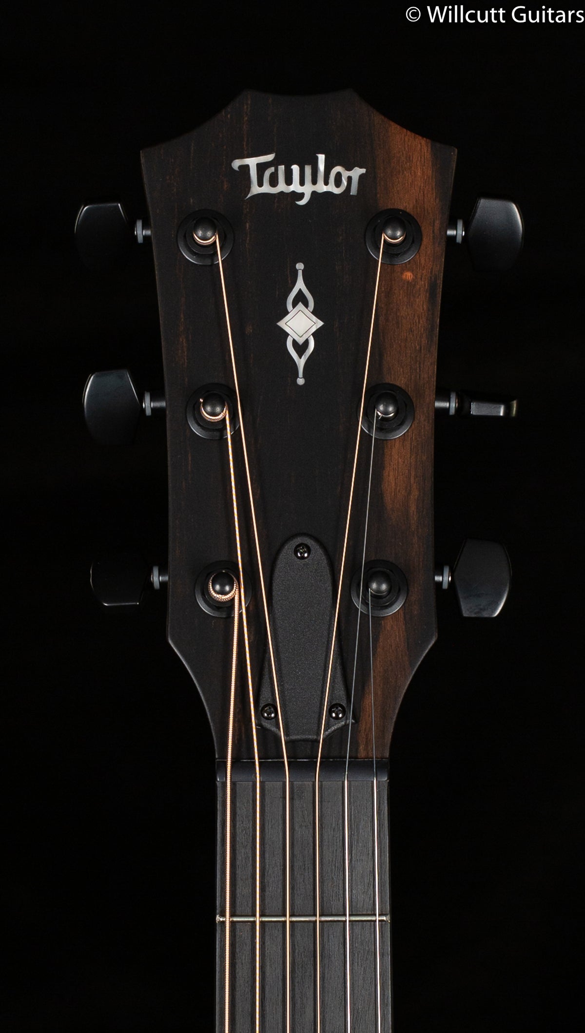Taylor 324ce Shaded Edge Burst V-Class Bracing (106)