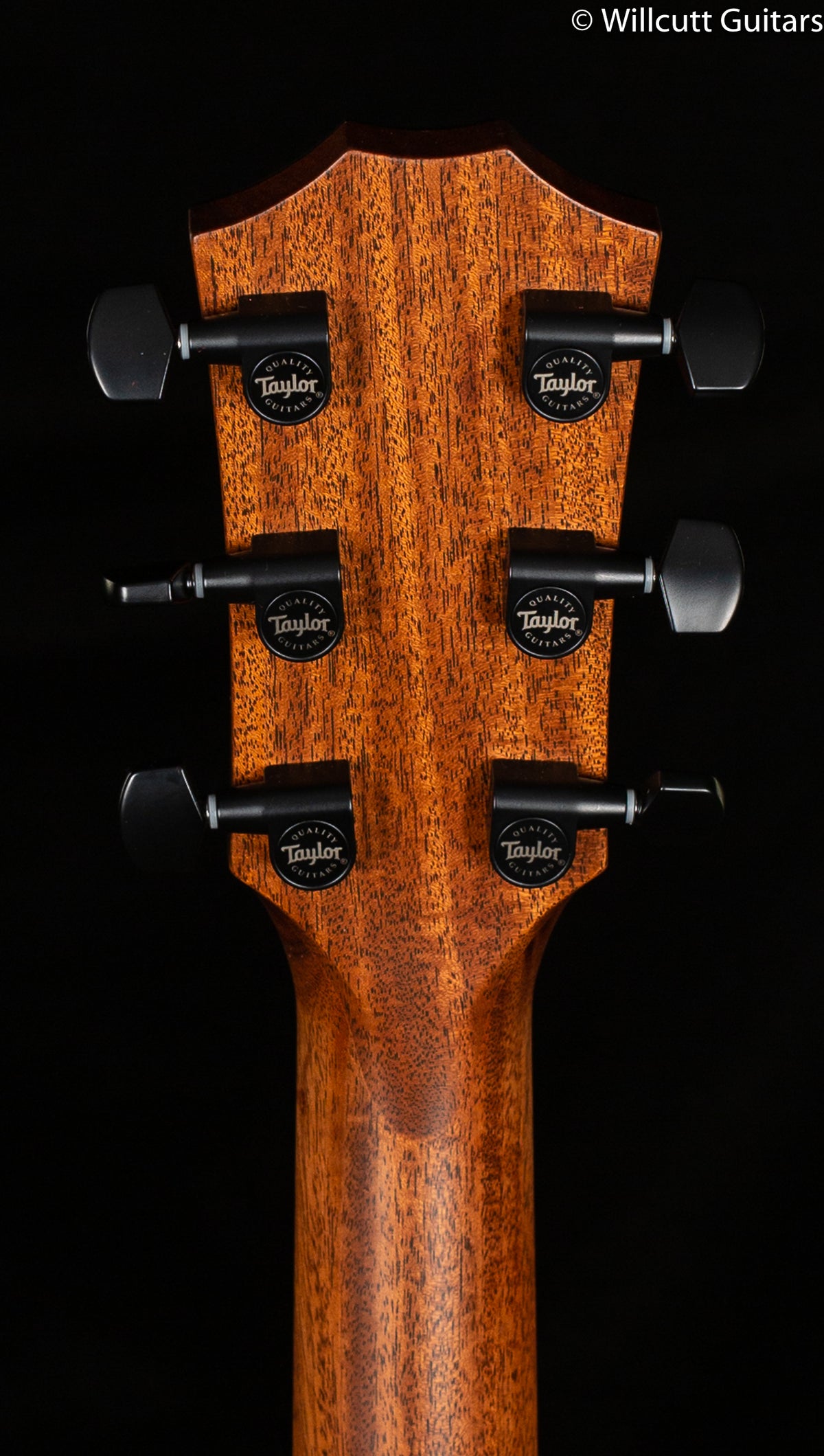 Taylor 324ce Shaded Edge Burst V-Class Bracing (106)