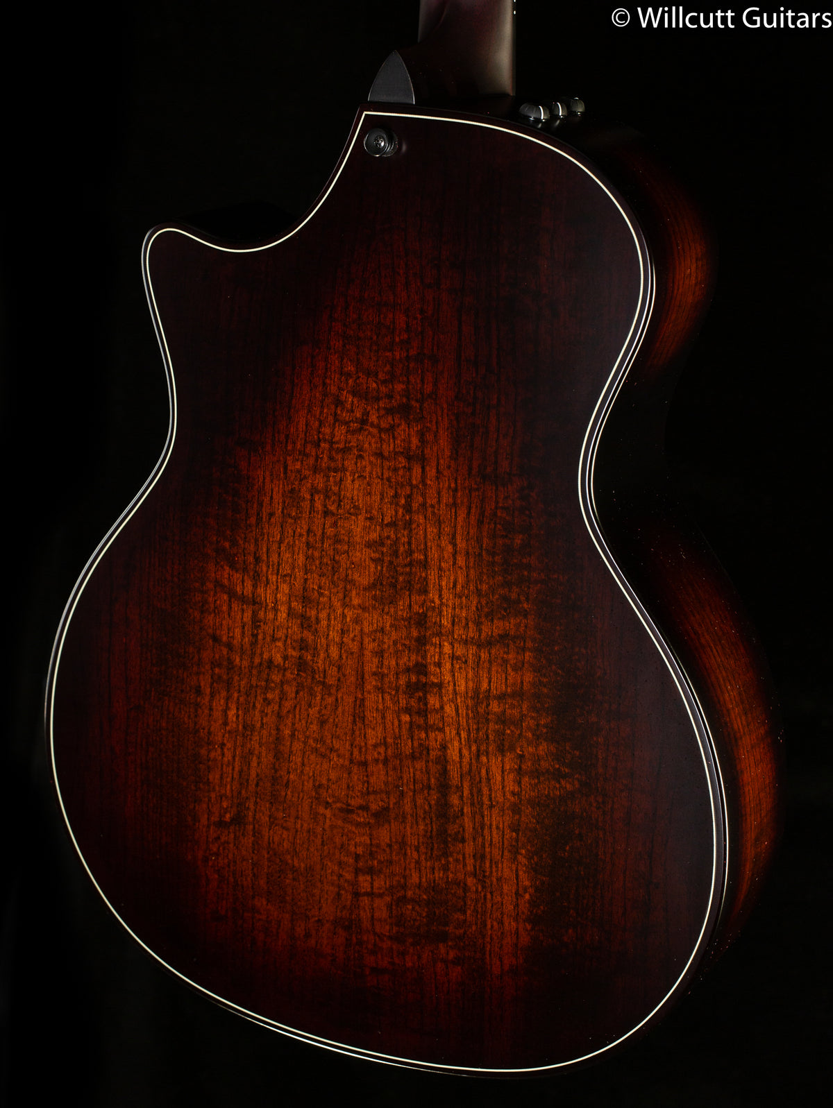 Taylor 324ce Builders Edition