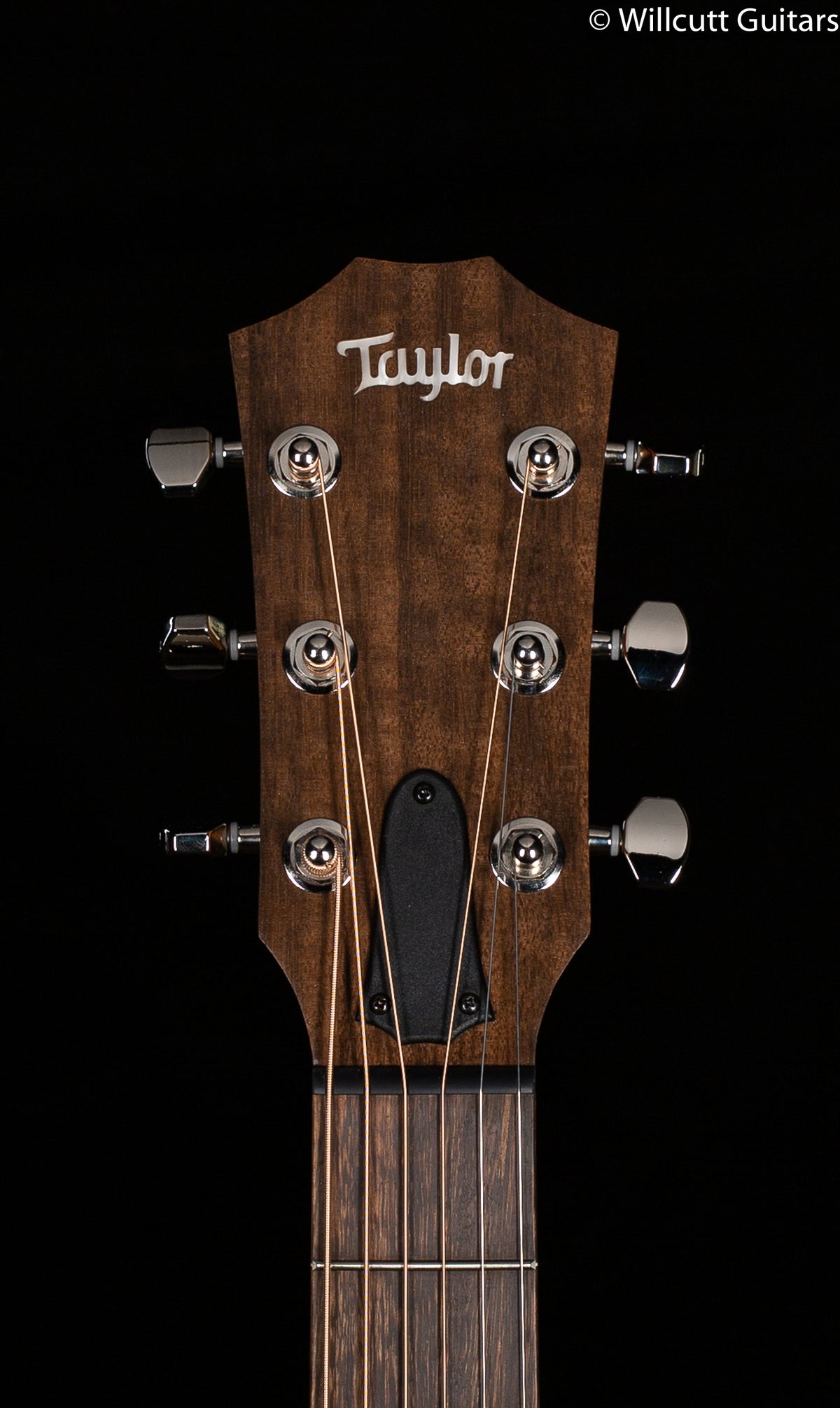 Taylor GTe Grand Theatre Urban Ash (121)