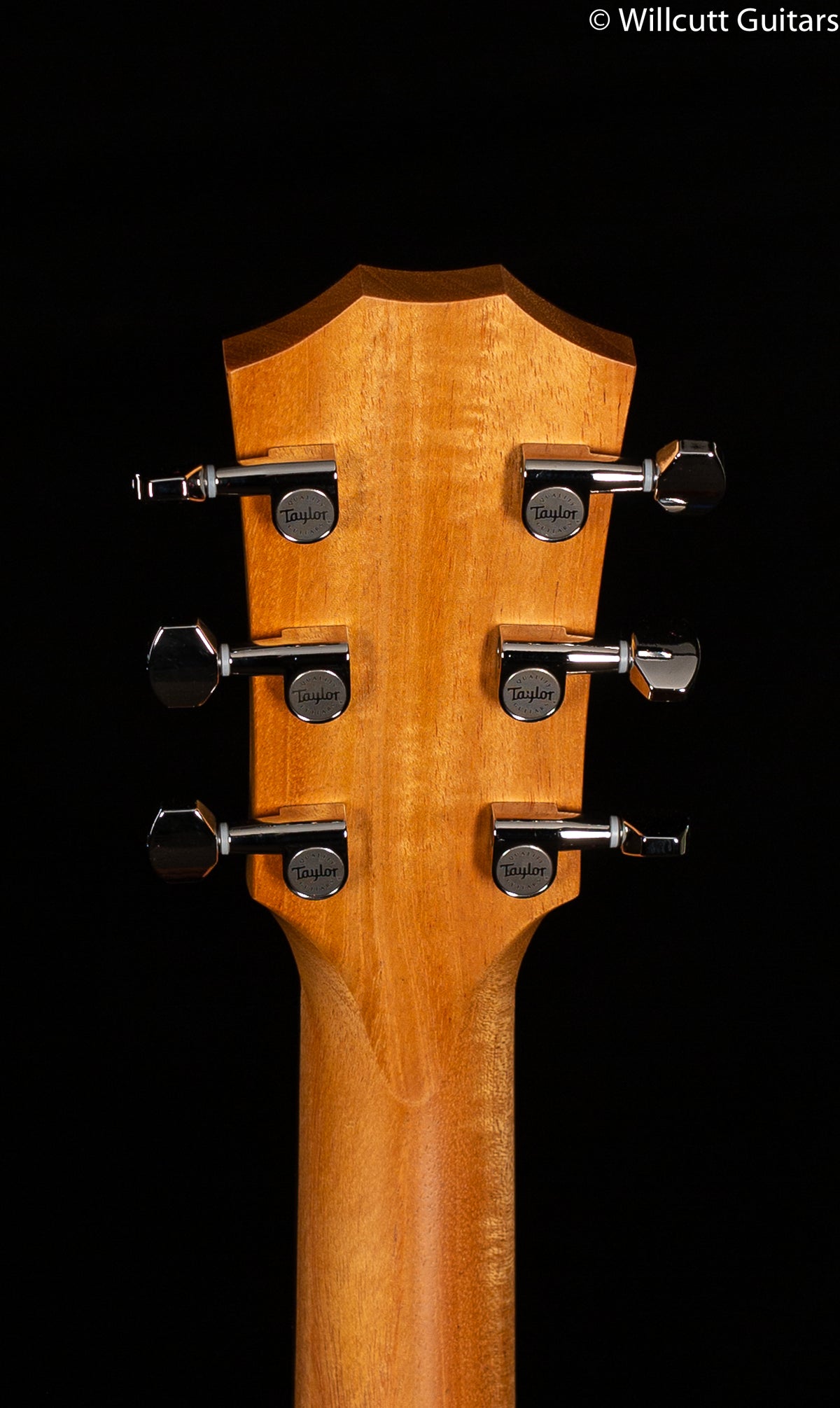 Taylor GTe Grand Theatre Urban Ash (121)