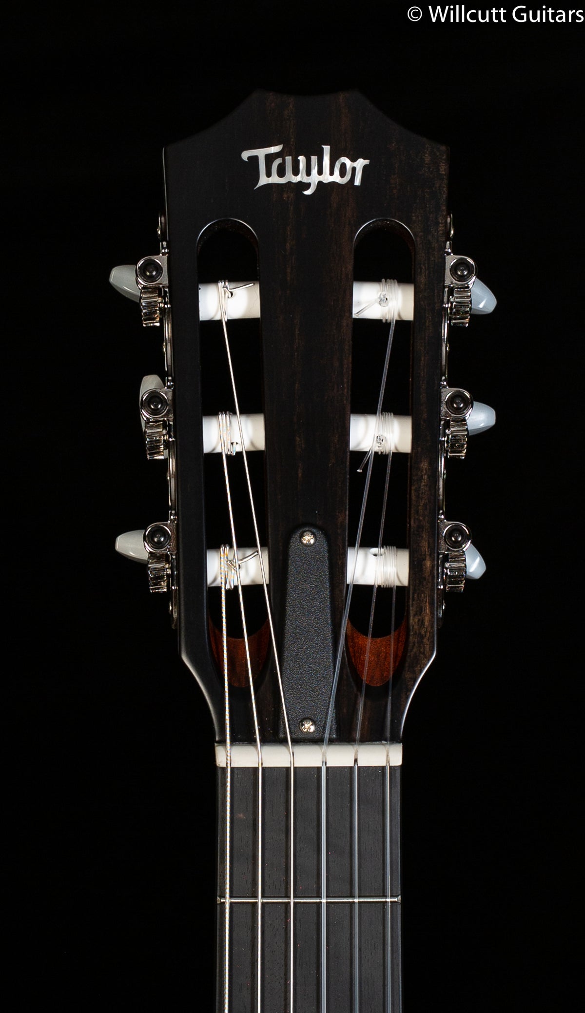 Taylor 312ce-N