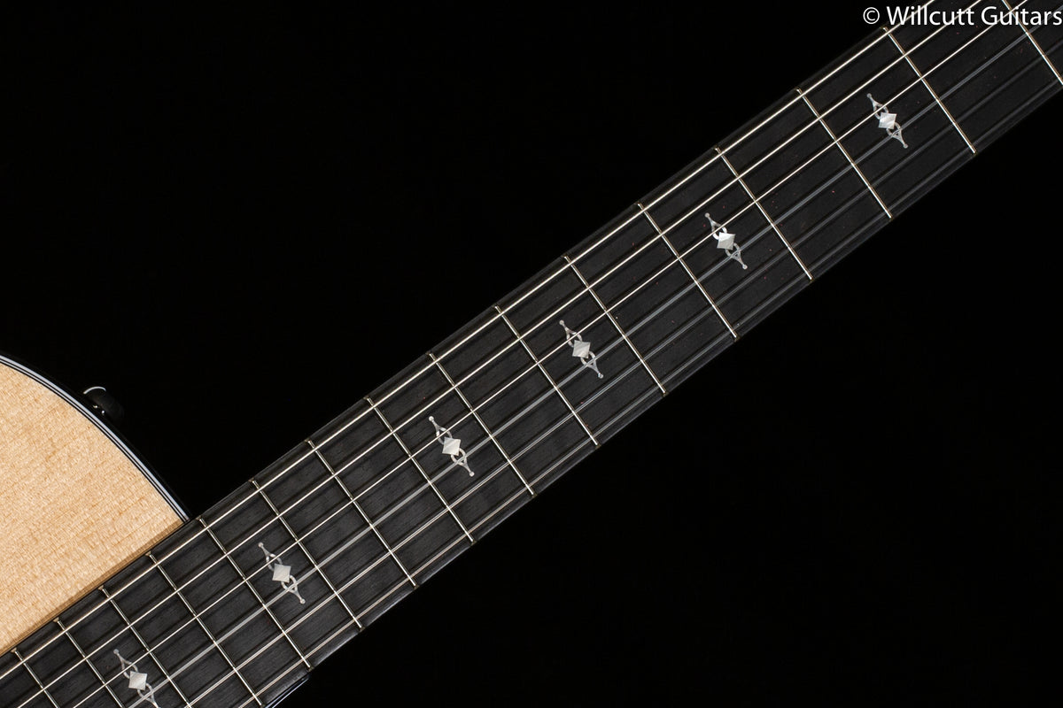Taylor 312ce-N