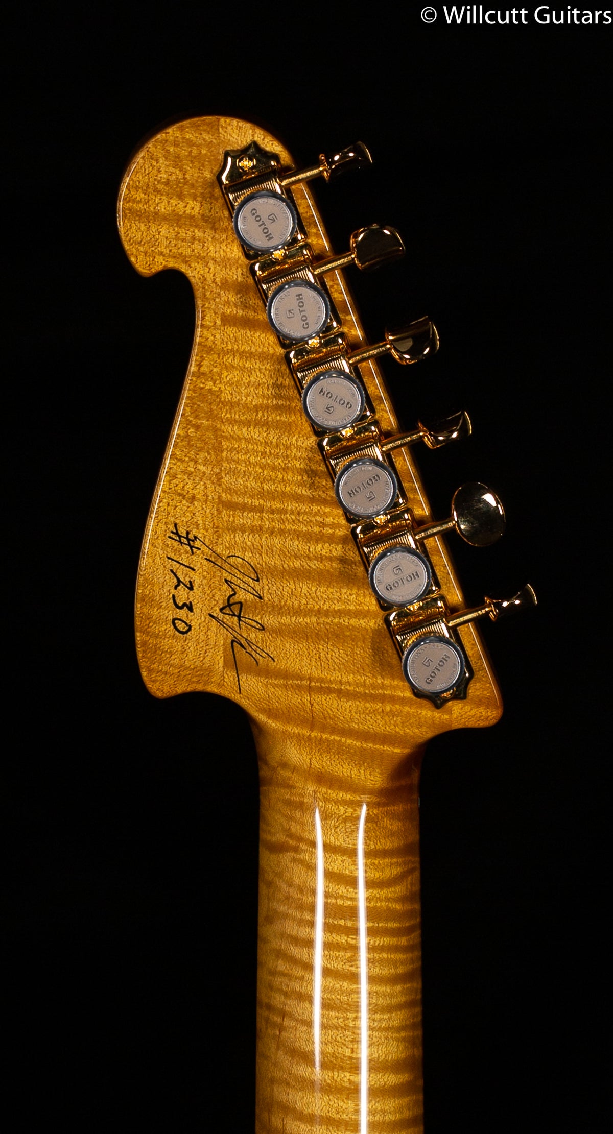 Knaggs Chesapeake Severn SSS Trem Sunflower