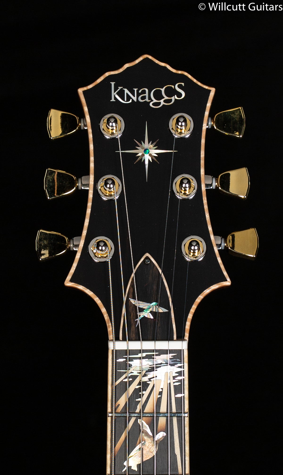 Knaggs Influence Kenai Limited "Reef of Life" Blue Green Quilt Tier 1