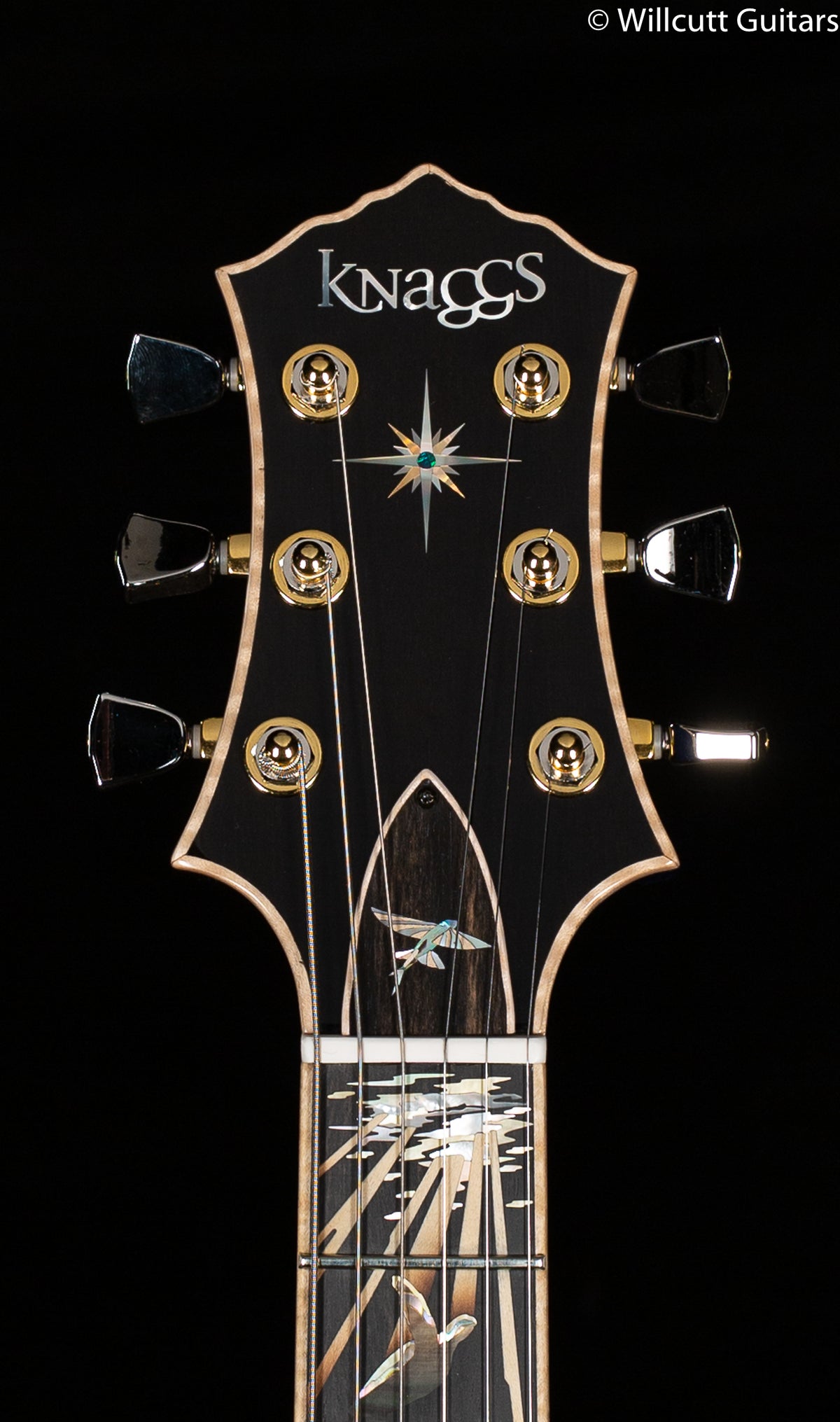 Knaggs Influence Kenai Limited &quot;Reef of Life&quot; Ocean Blue Tier 1