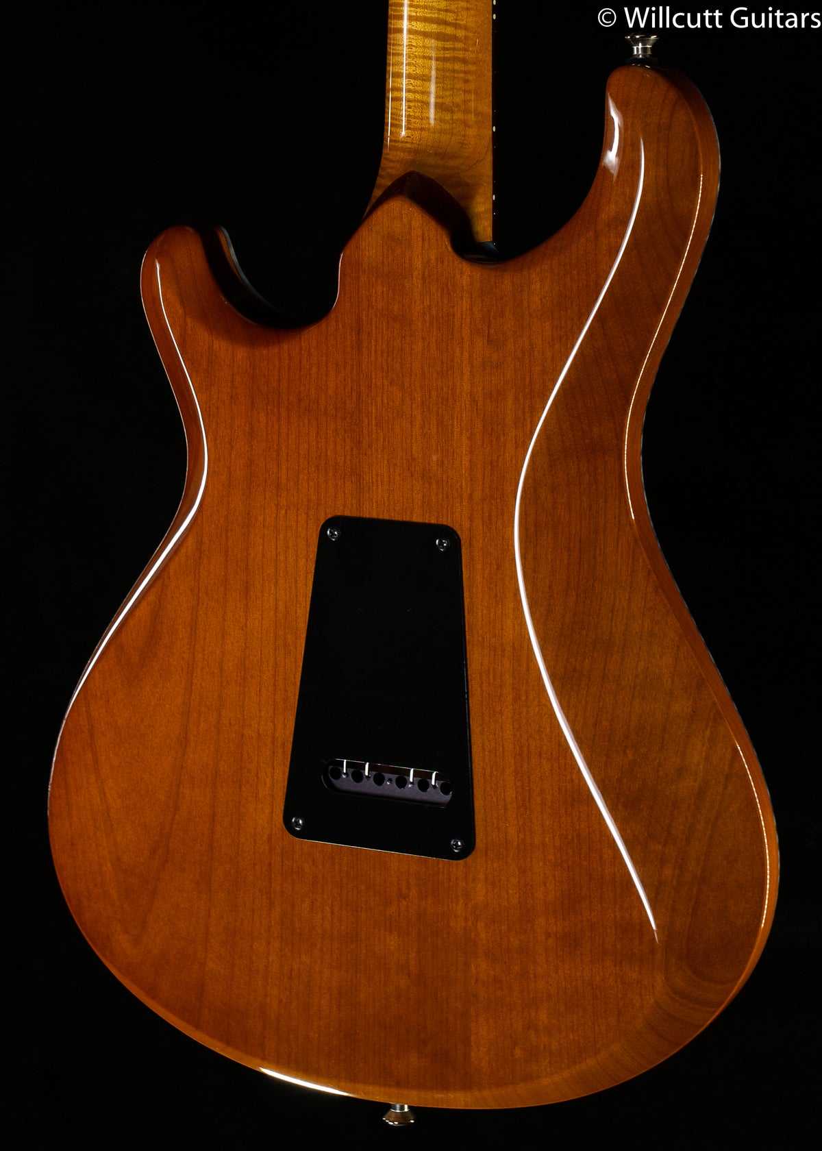 Knaggs Chesapeake Severn Trem SSS Winter Solstice Tier 1 (285)