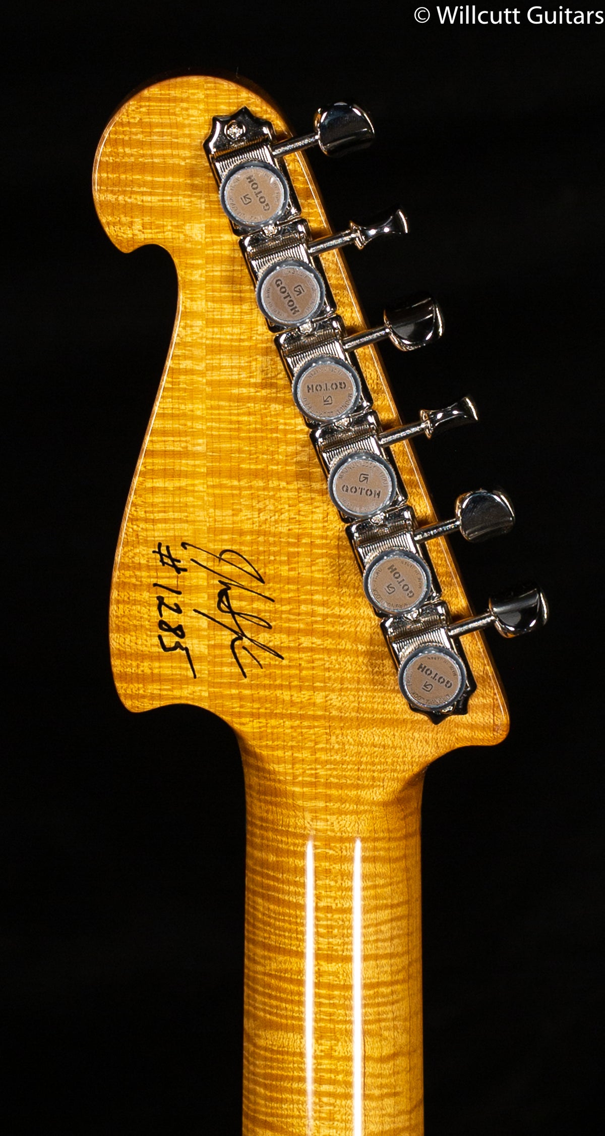 Knaggs Chesapeake Severn Trem SSS Winter Solstice Tier 1 (285)