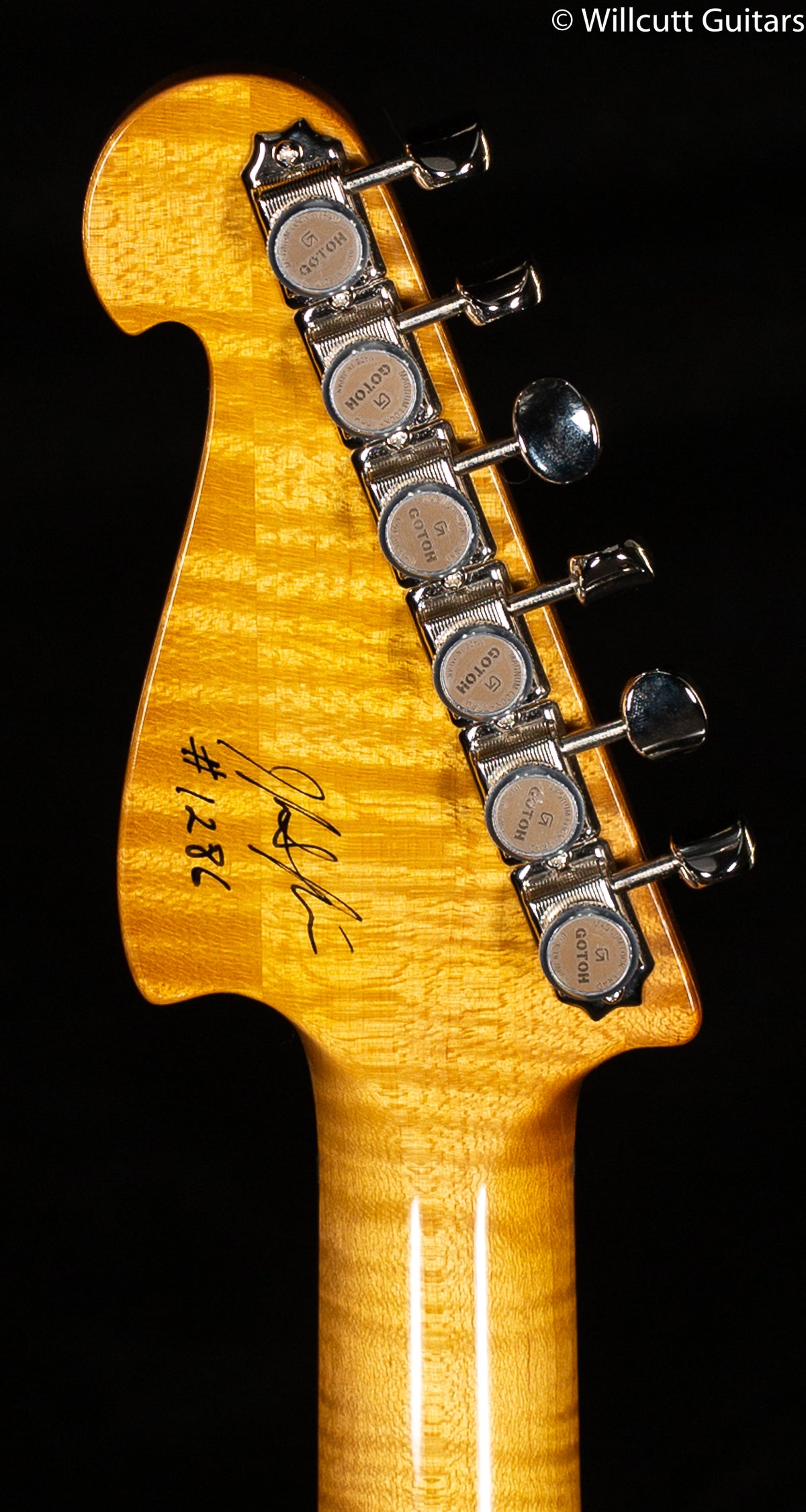 Knaggs Chesapeake Severn SSS Trem Sunflower T1