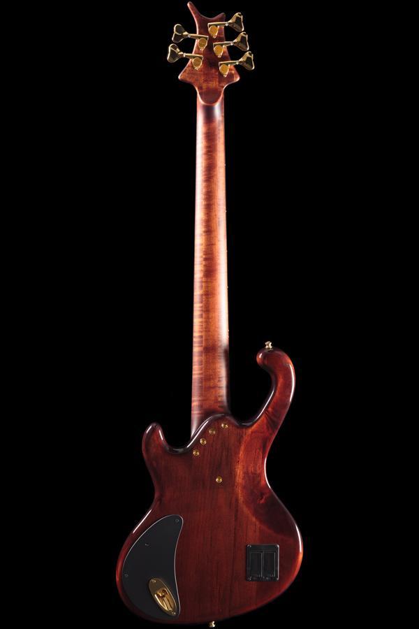 Ritter Cora 5-String Late Lounge Bass Guitar (343)