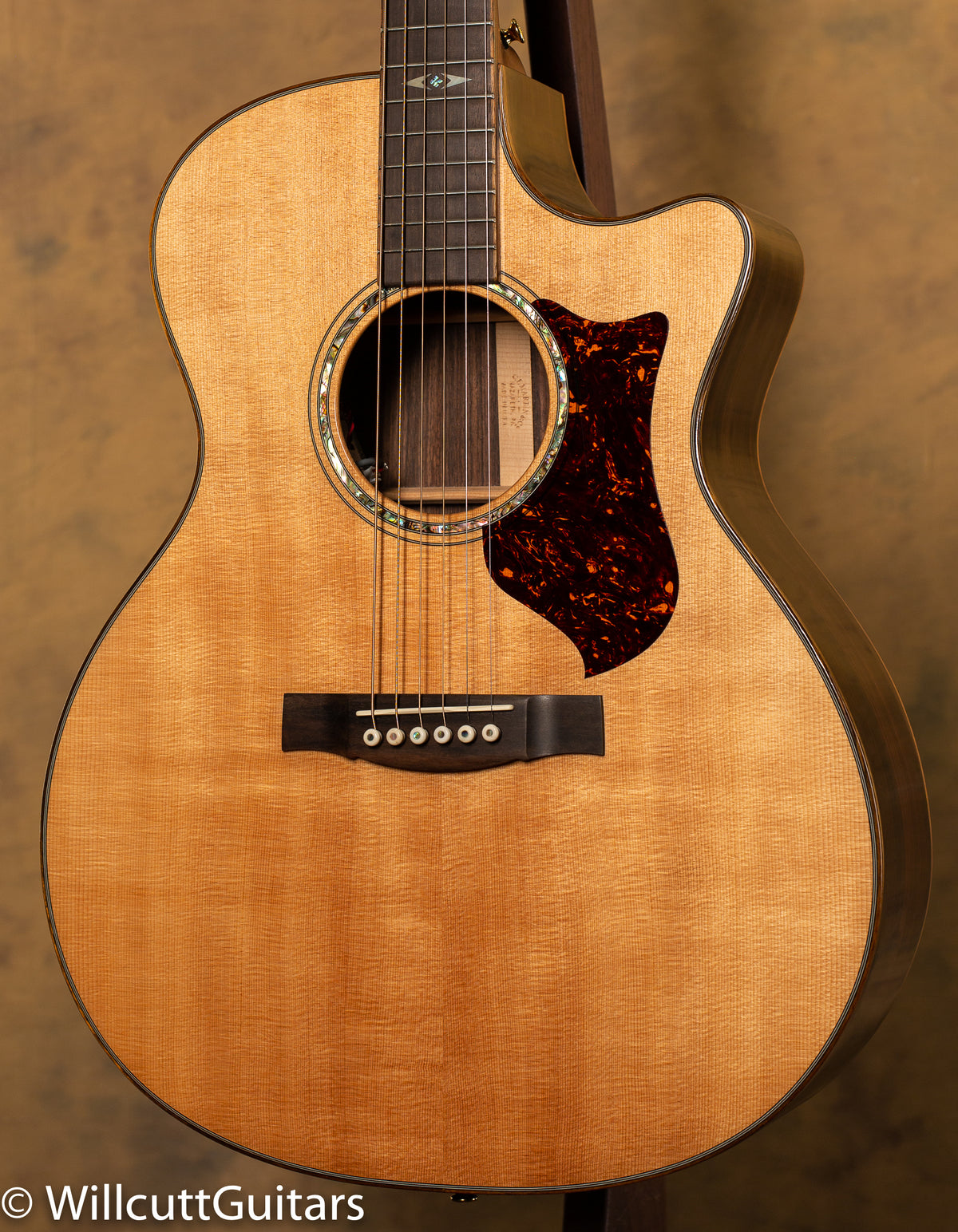 2010 Martin Performing Artist GPCPA1