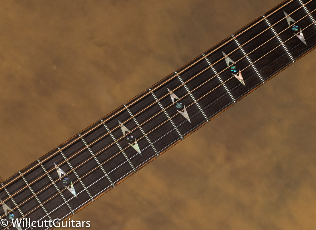 2010 Martin Performing Artist GPCPA1