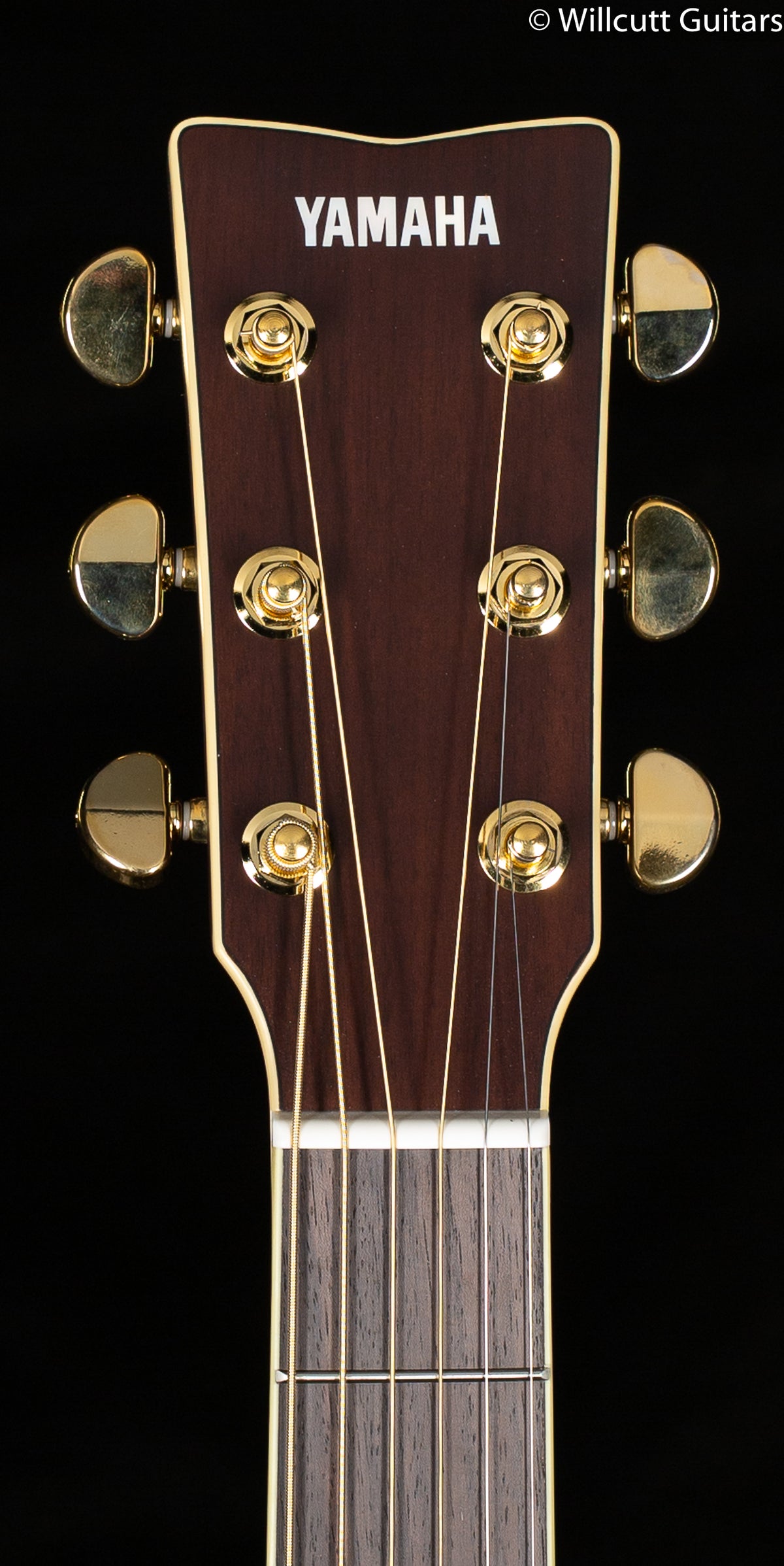Yamaha LL6M ARE MAHOGANY FOLK ACOUSTIC (643)
