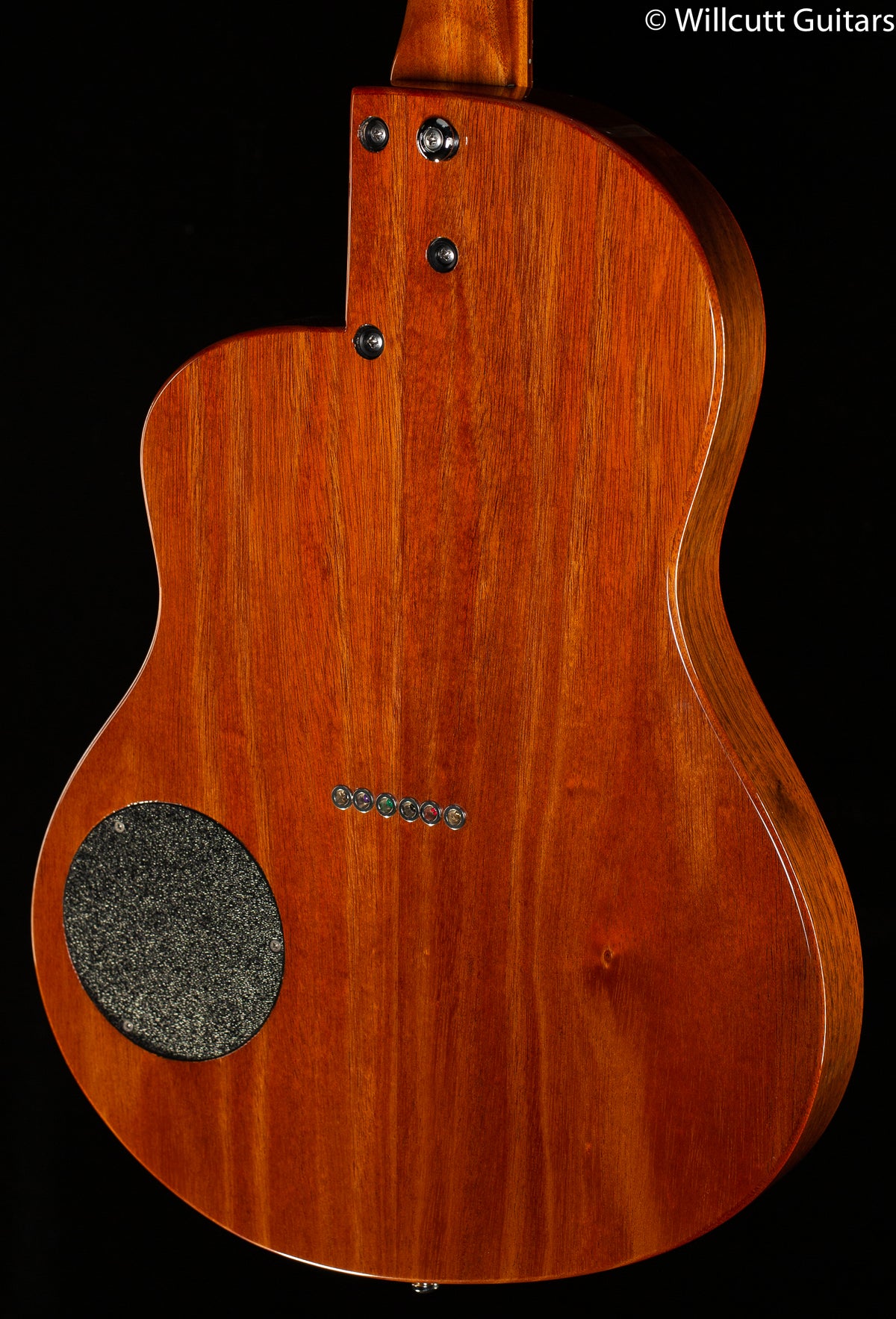 Rick Turner Renaissance RS-6 Deuce Special