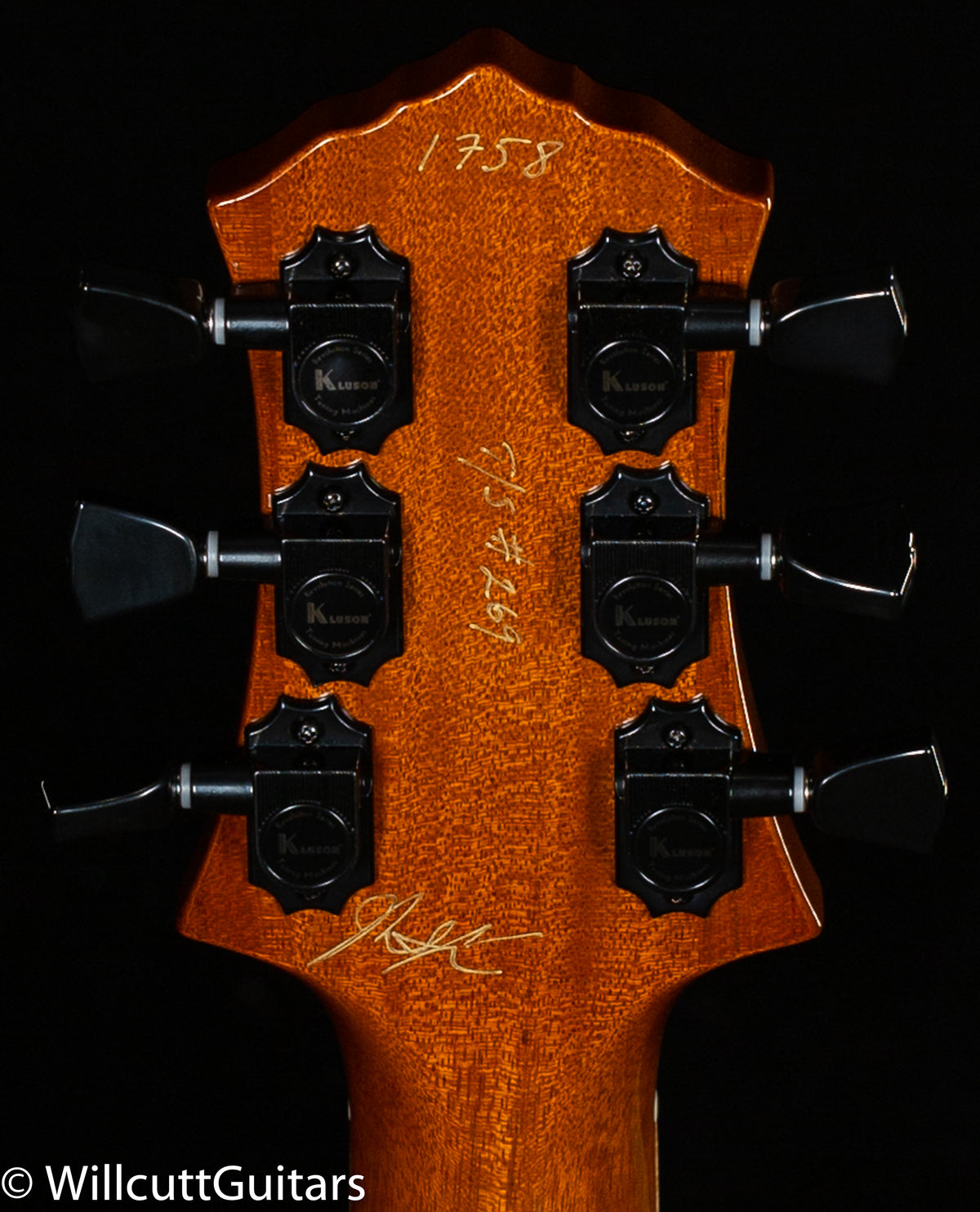 Knaggs Eric Steckel Kenai T/S Blue Marlin T1 Maple top and back (758)