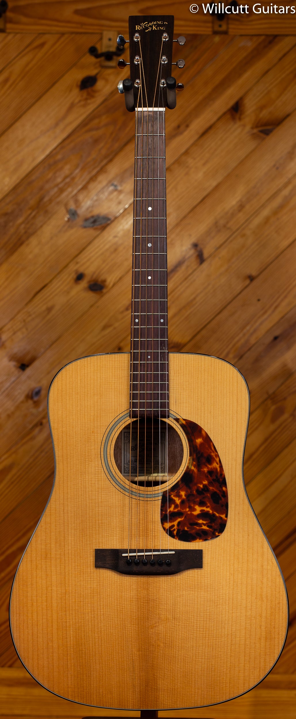 Recording King, Dreadnought, Torrified Adi Top DEMO