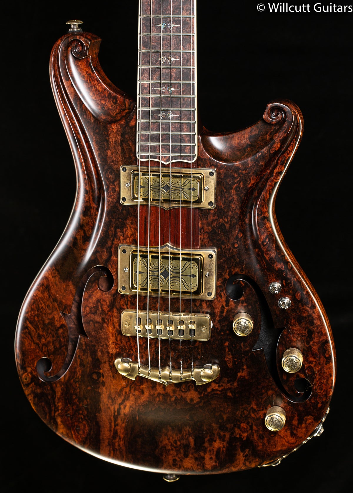 Scott Walker Santa Cruz Hollowbody Legacy Select Rosewood